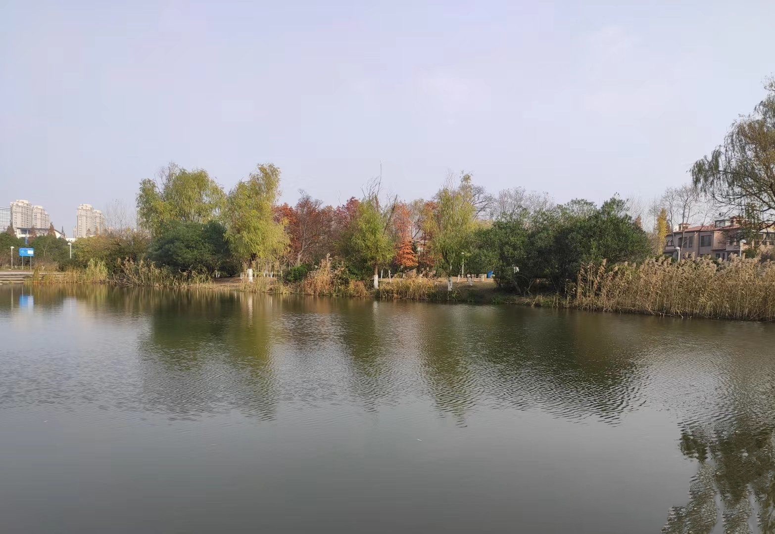 江宁大学城公园旅行图片 1