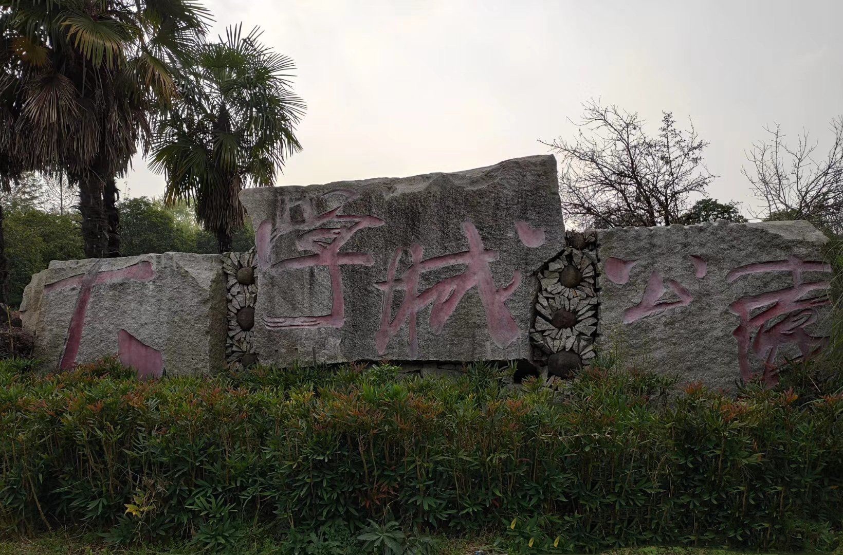江宁大学城公园旅行图片 2