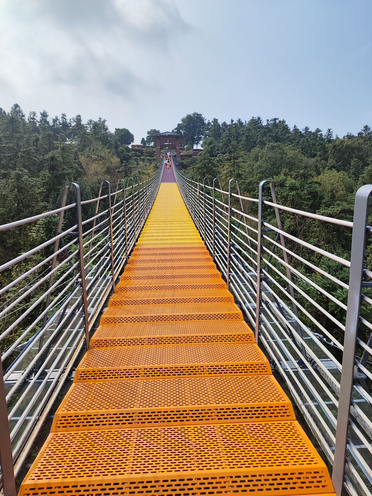 银杏湖旅游度假区旅行图片 3