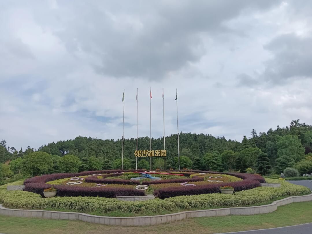 银杏湖旅游度假区旅行图片 3