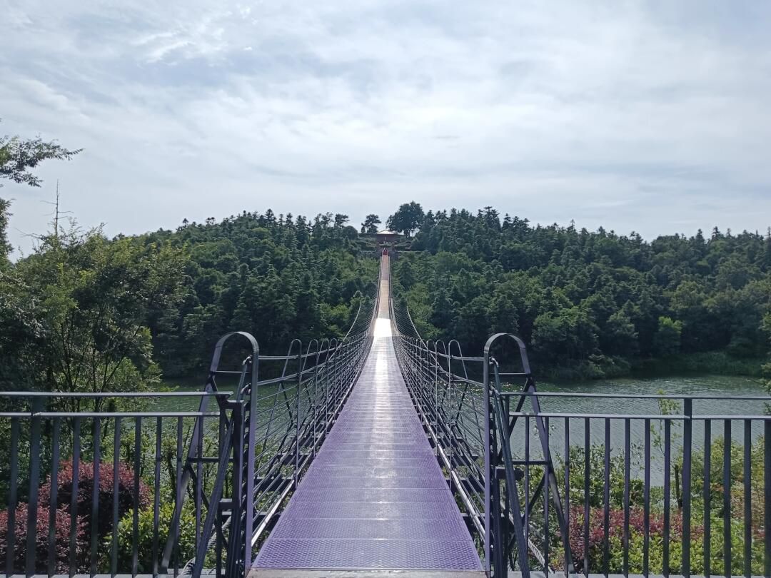 银杏湖旅游度假区旅行图片 2