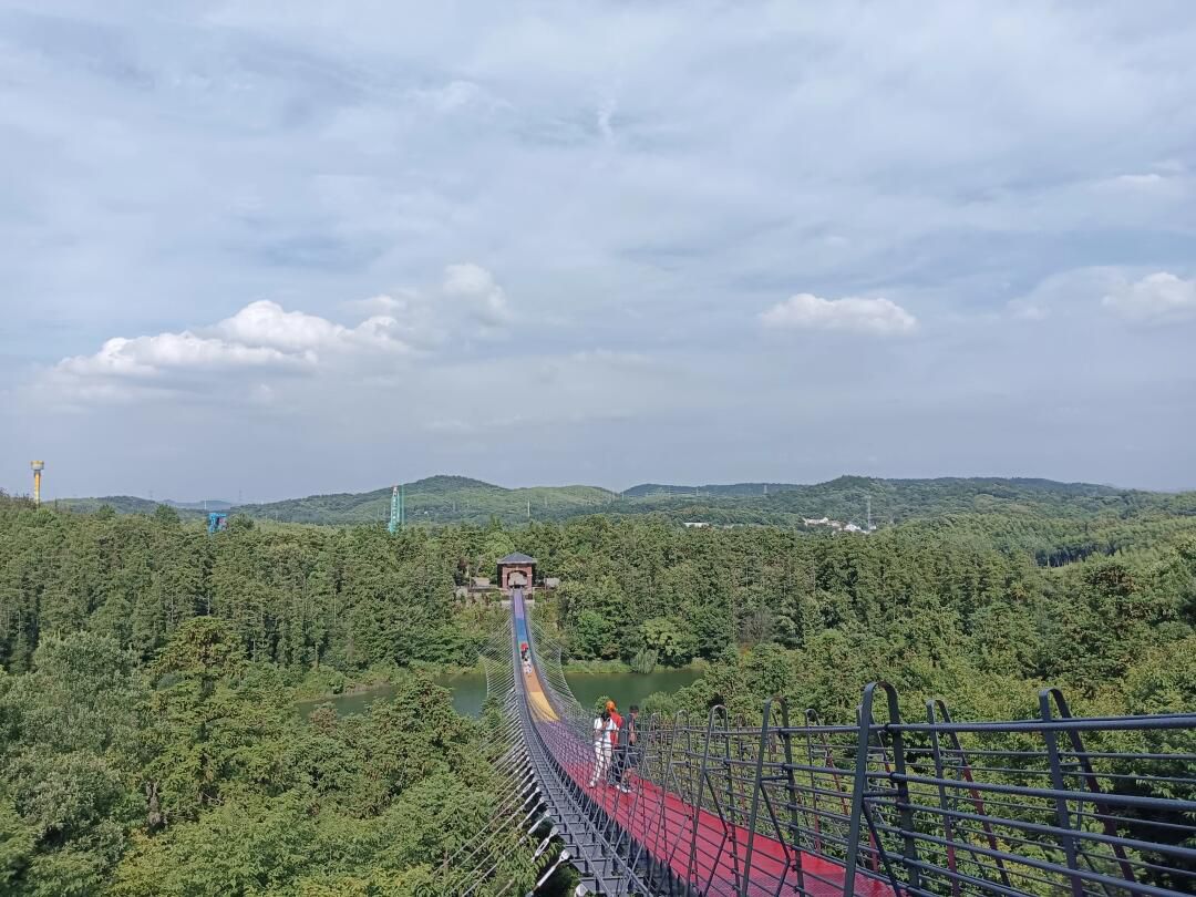 银杏湖旅游度假区旅行图片 3