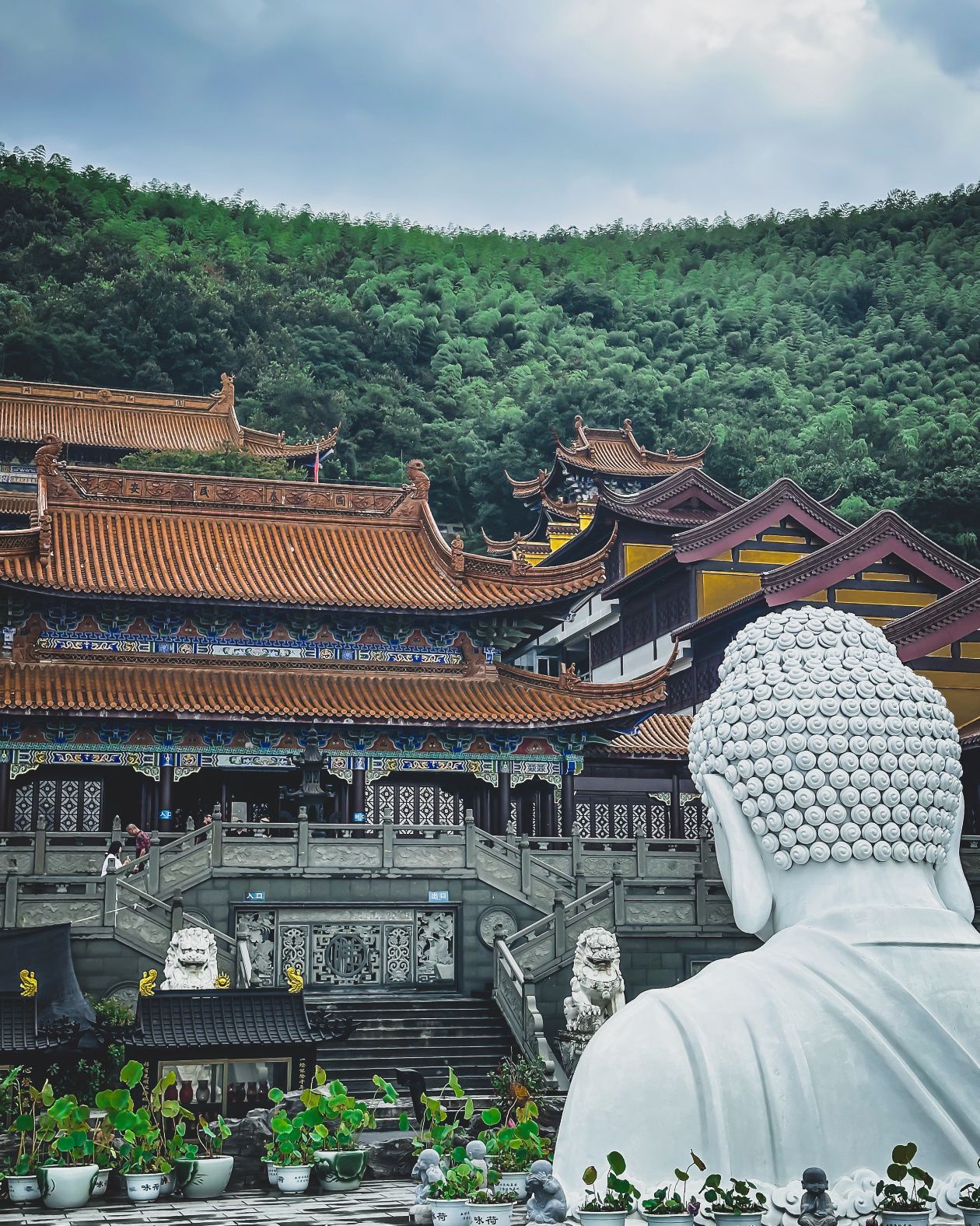 东庐山观音寺实景照片