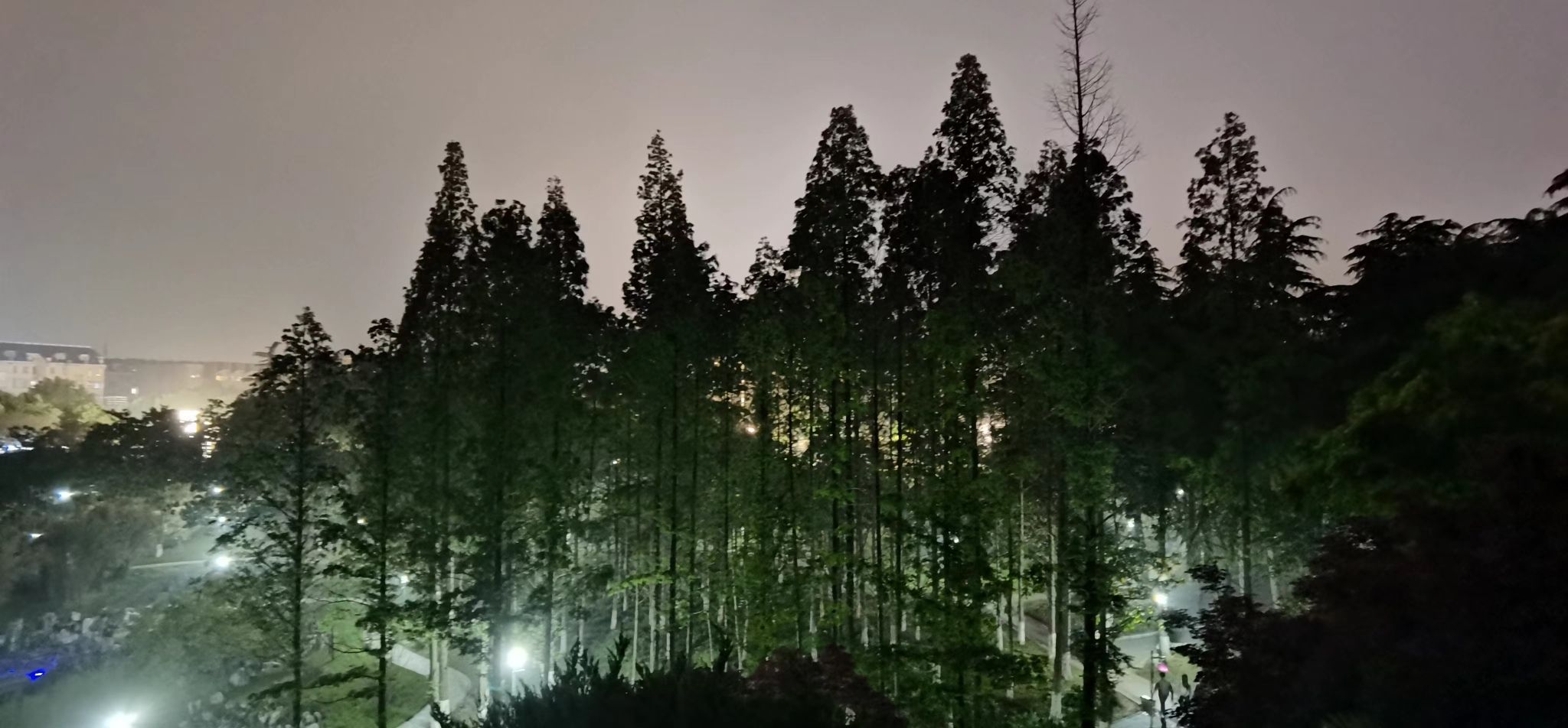 平顶山公园旅行图片 2