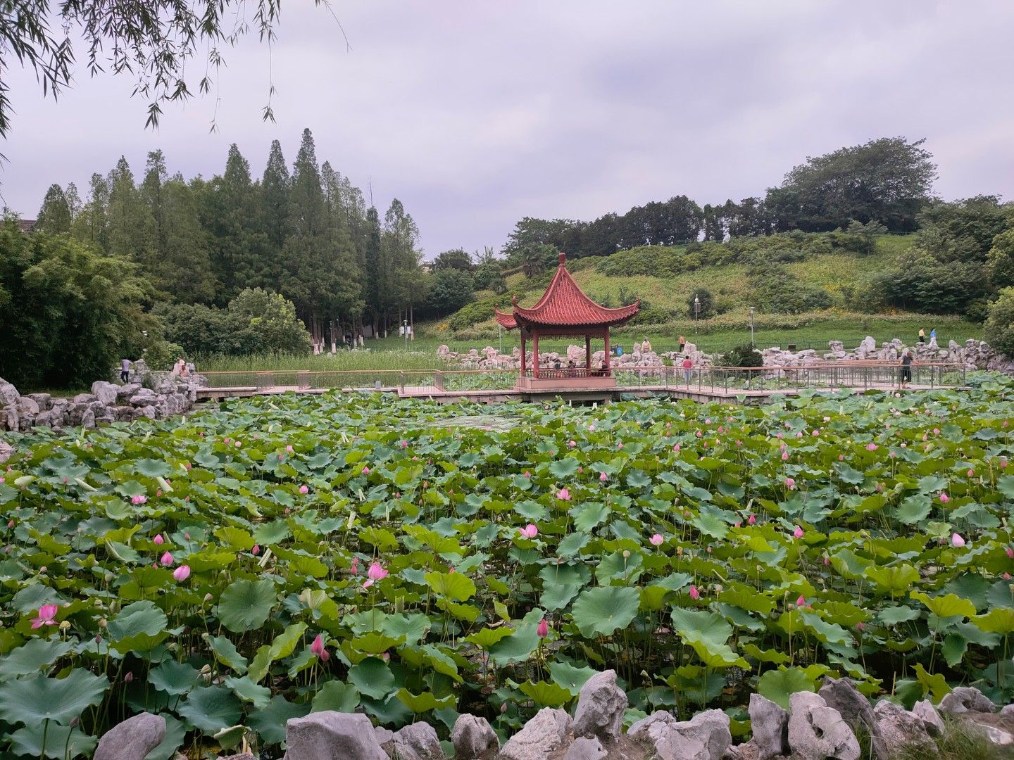 平顶山公园旅行图片 1