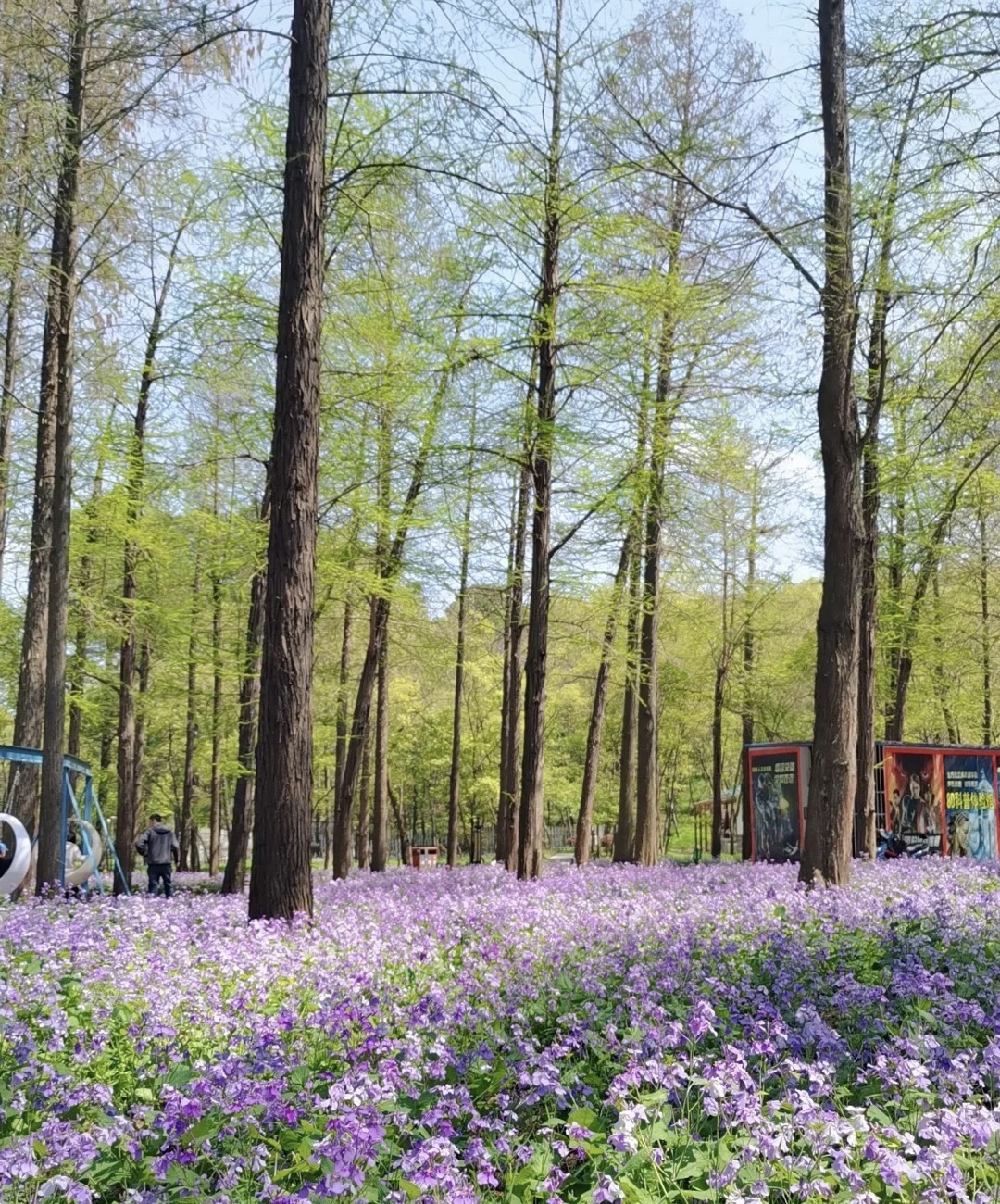 平顶山公园旅行图片 2