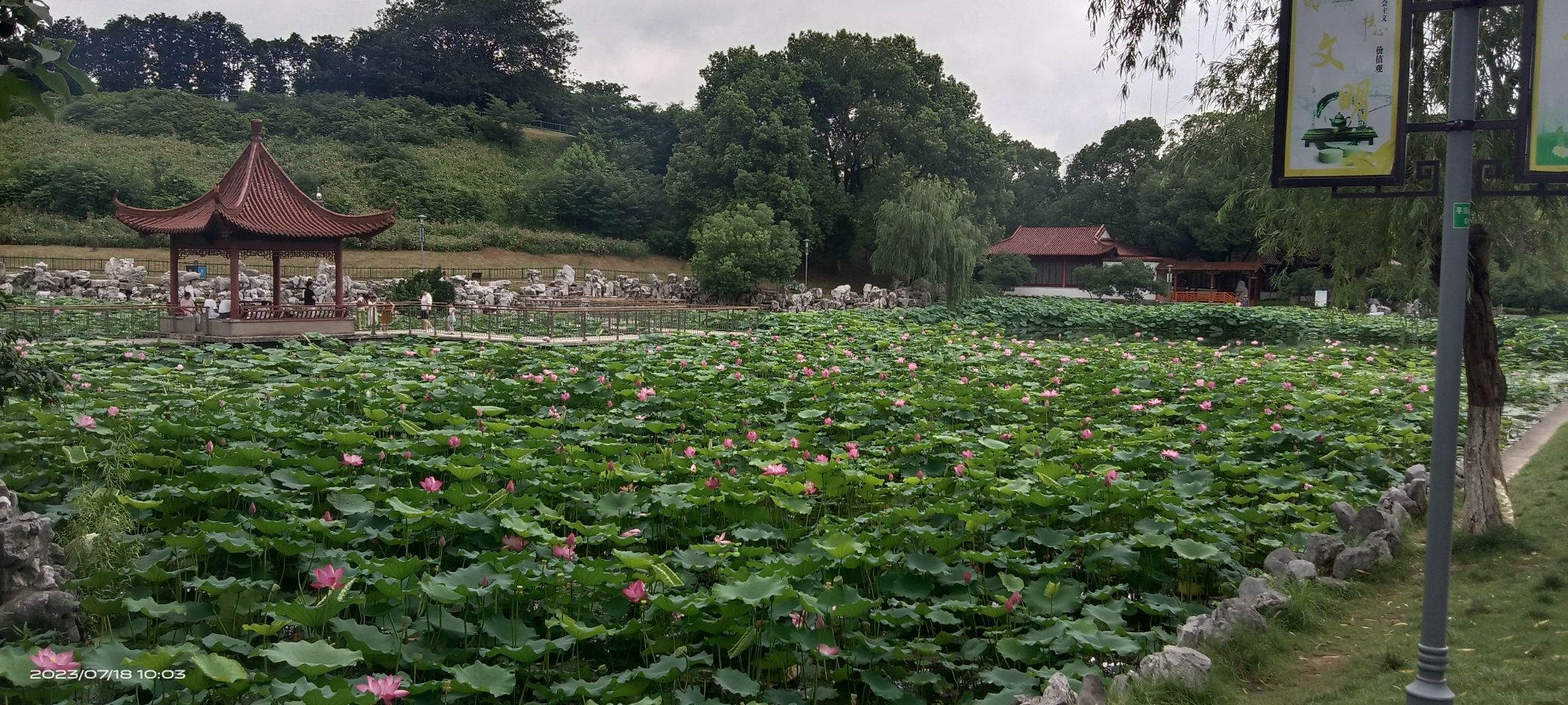平顶山公园旅行图片 3