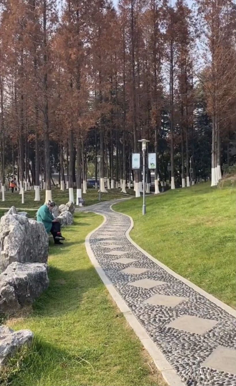 平顶山公园旅行图片 1