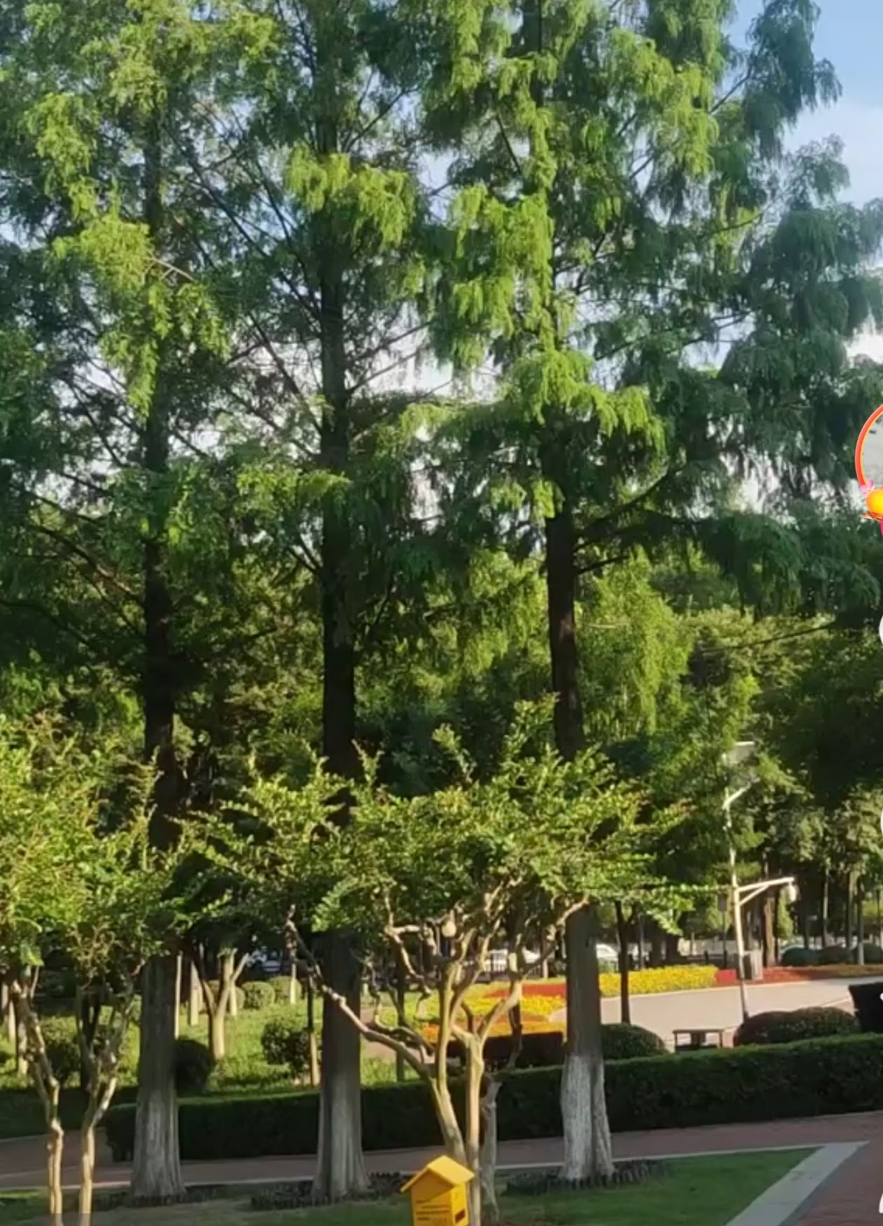 尧化门市民广场旅行图片 1