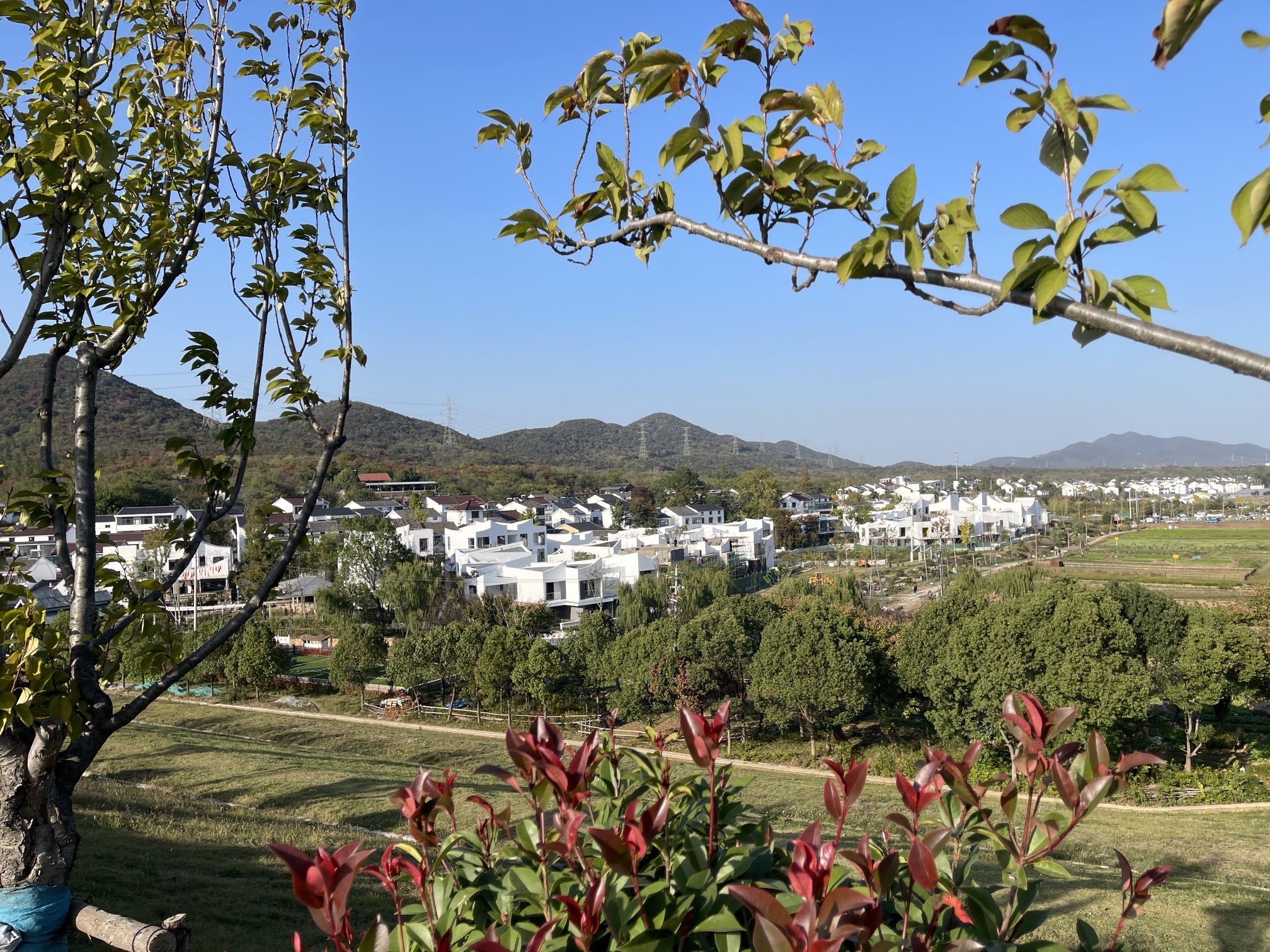 龙尚湖旅行图片 2