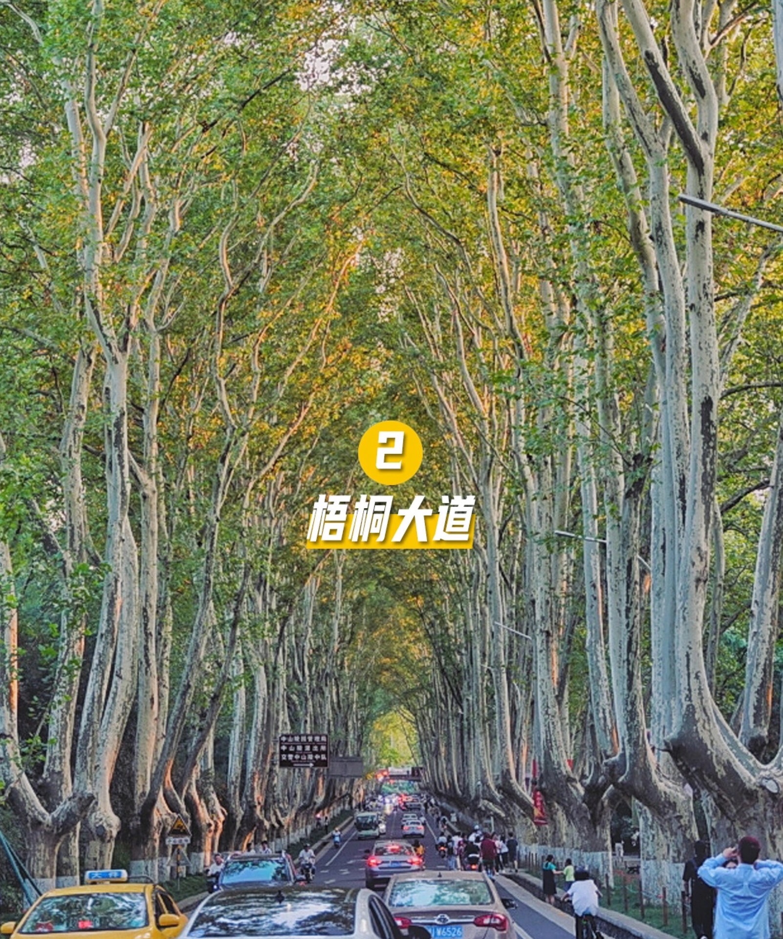 钟山风景名胜区旅行图片 3