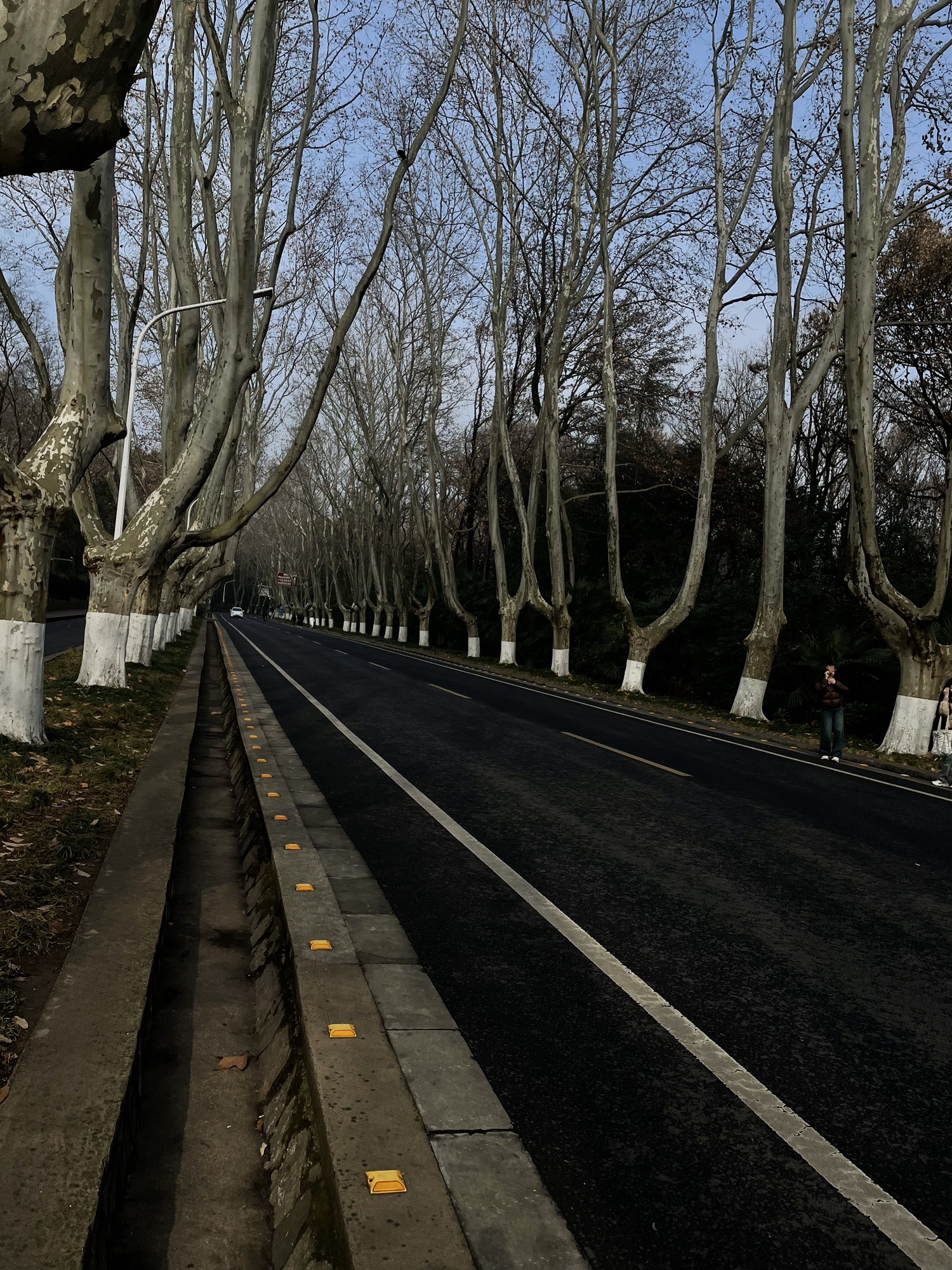 钟山风景名胜区旅行图片 3