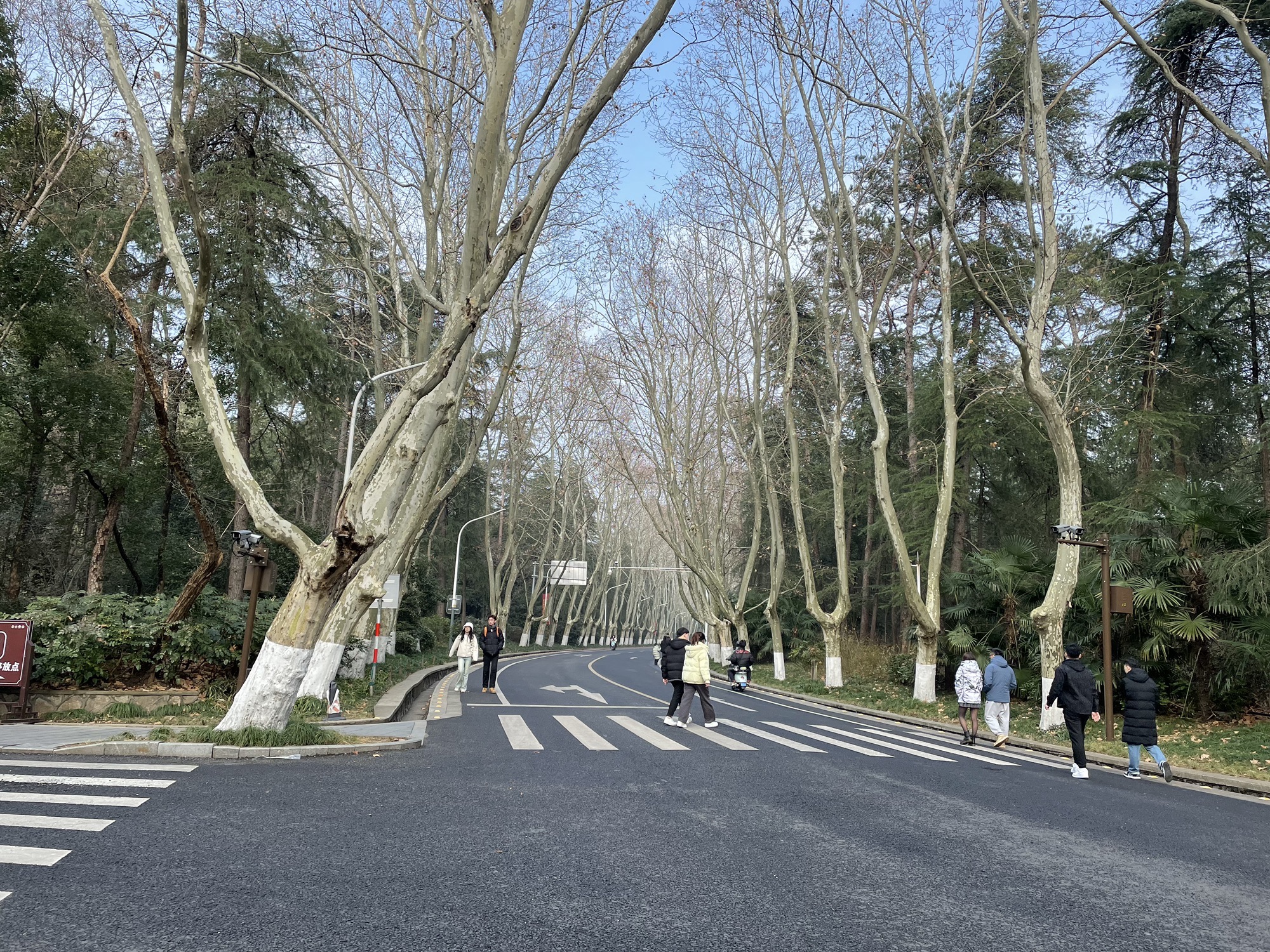 钟山风景名胜区旅行图片 2