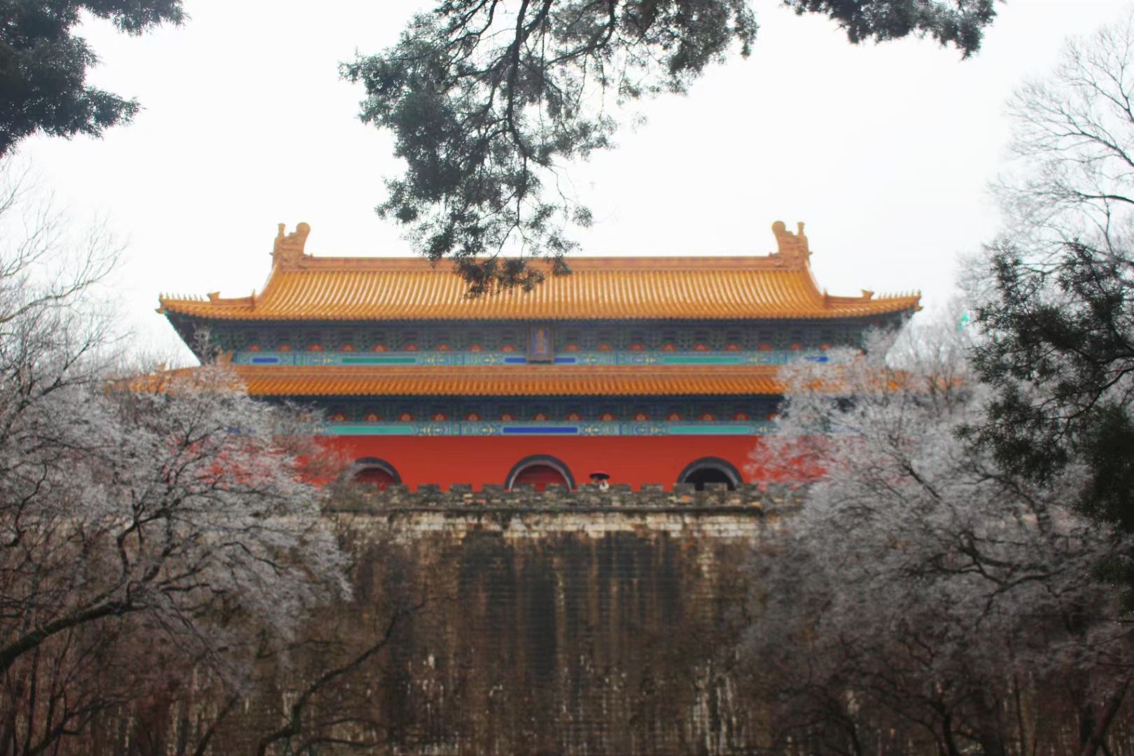 钟山风景名胜区旅行图片 2
