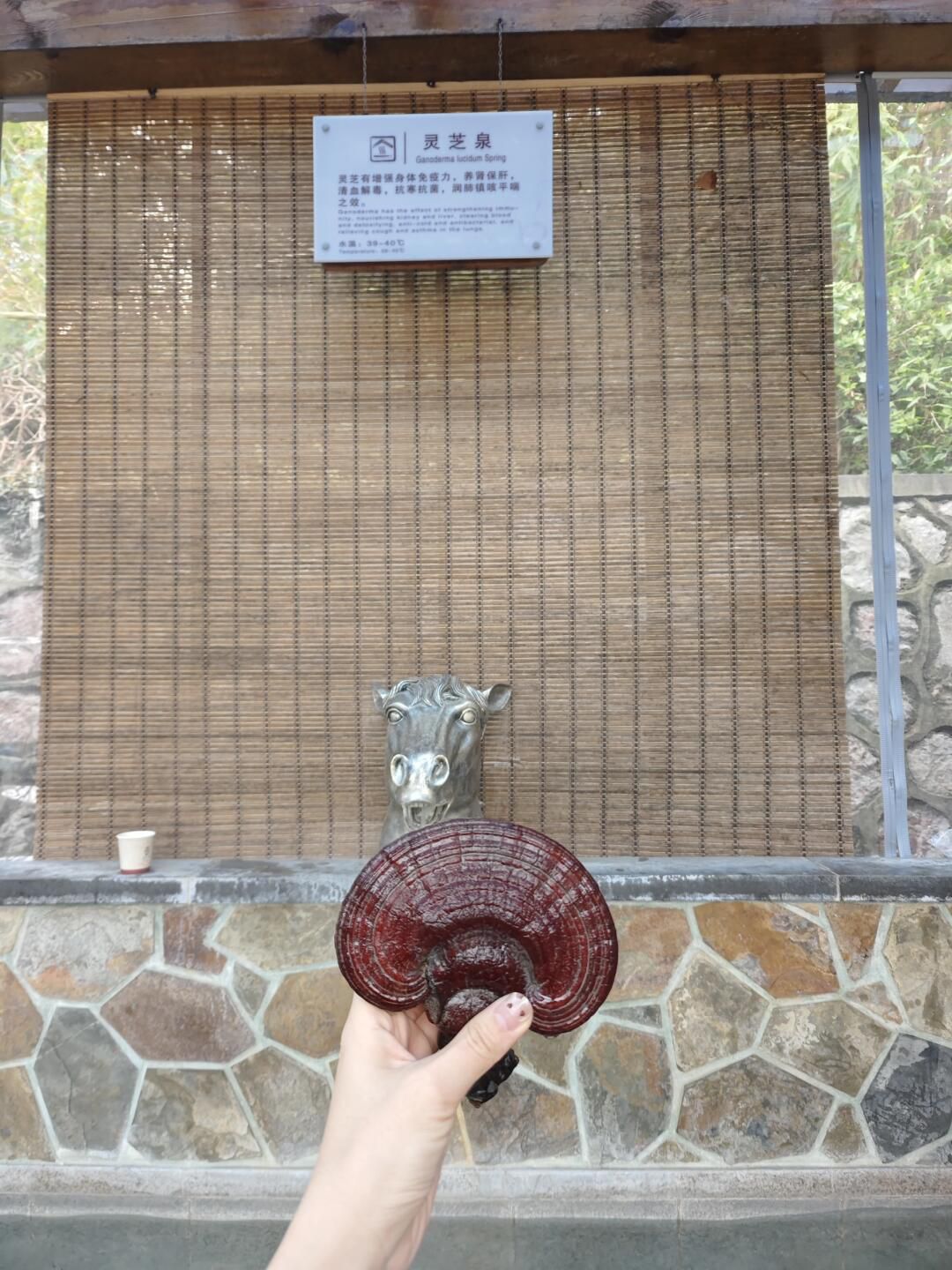 汤山一号温泉度假区旅行图片 1