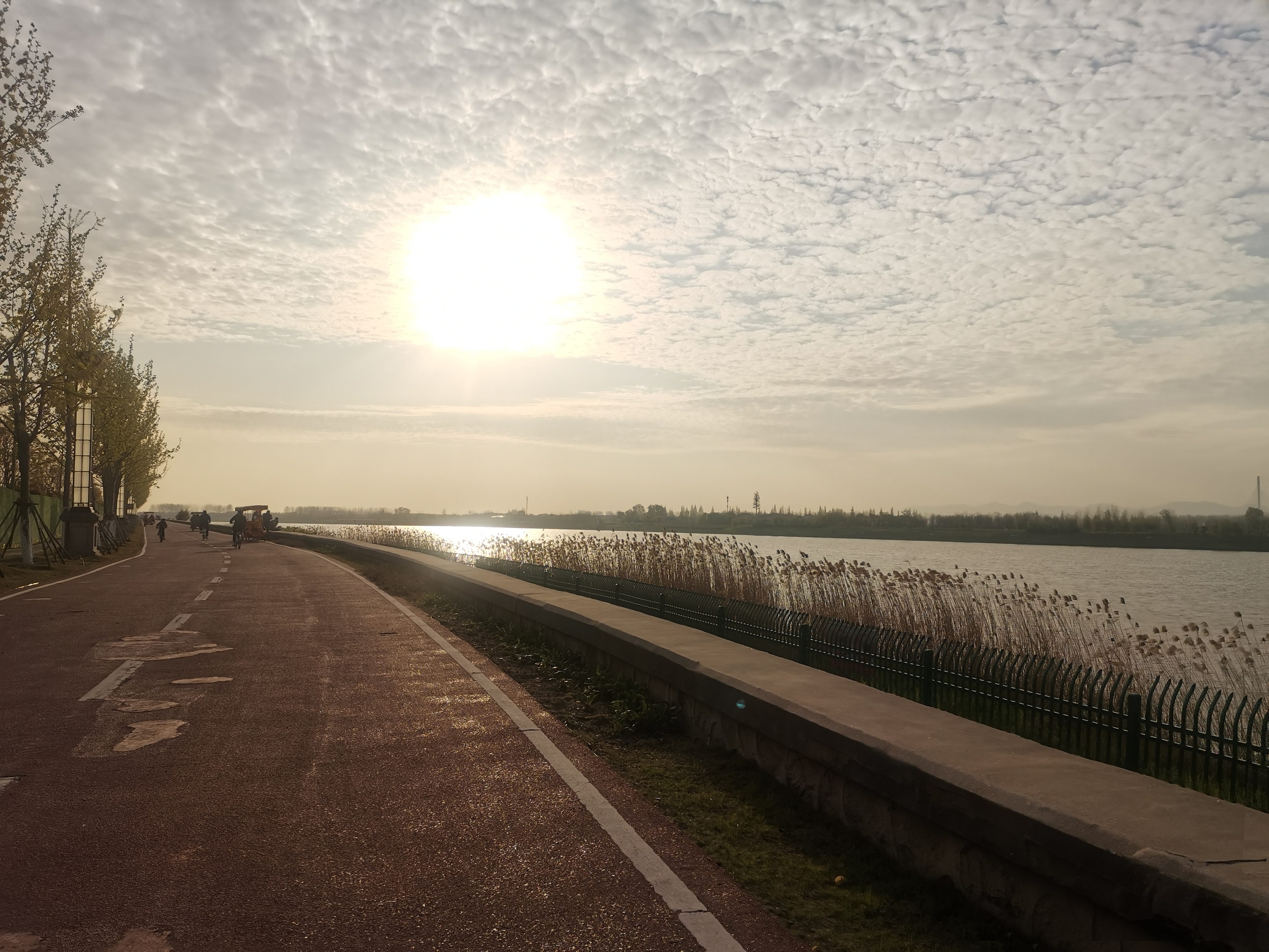 滨江公园旅行图片 1