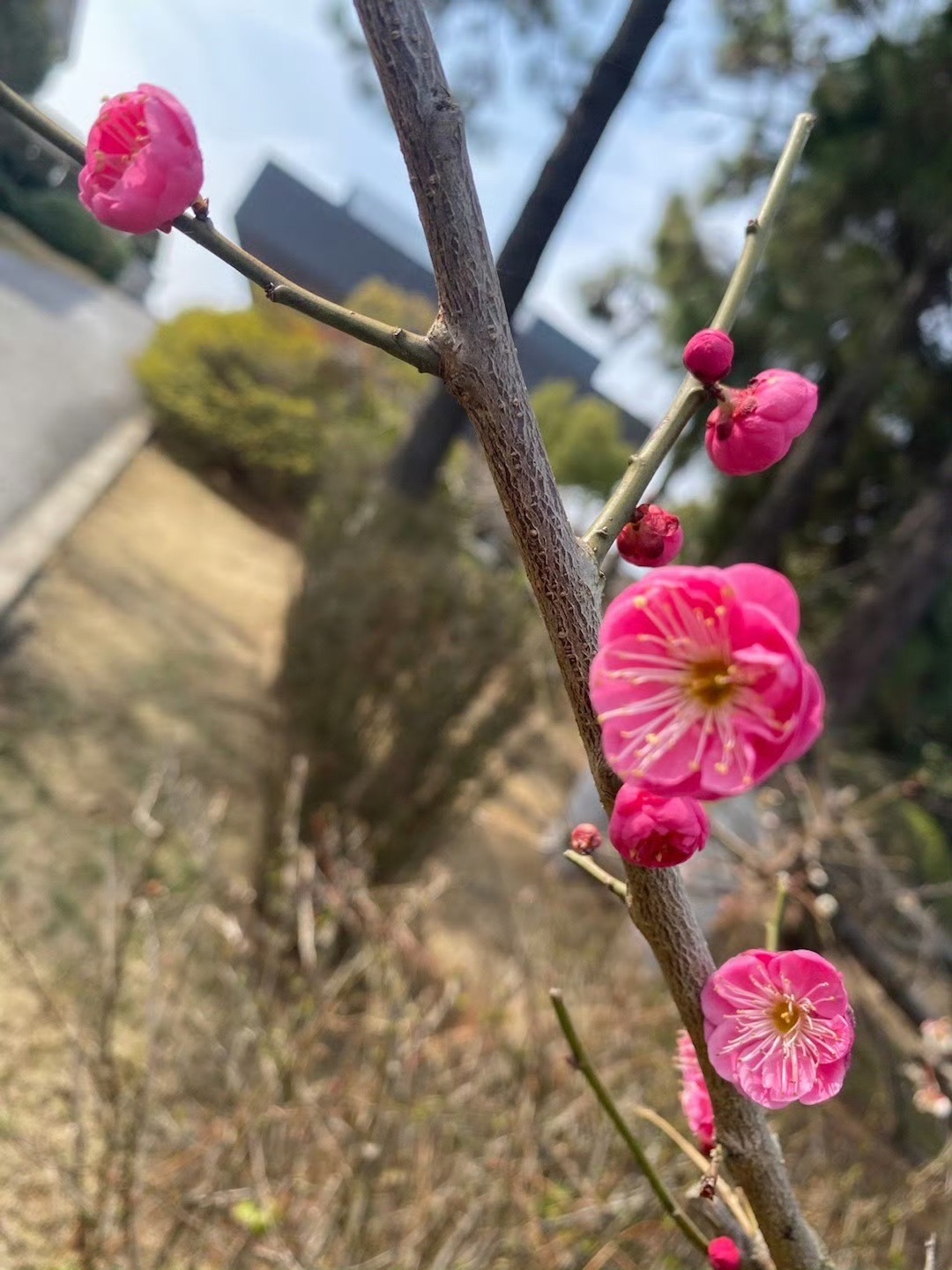 天生桥景区旅行图片