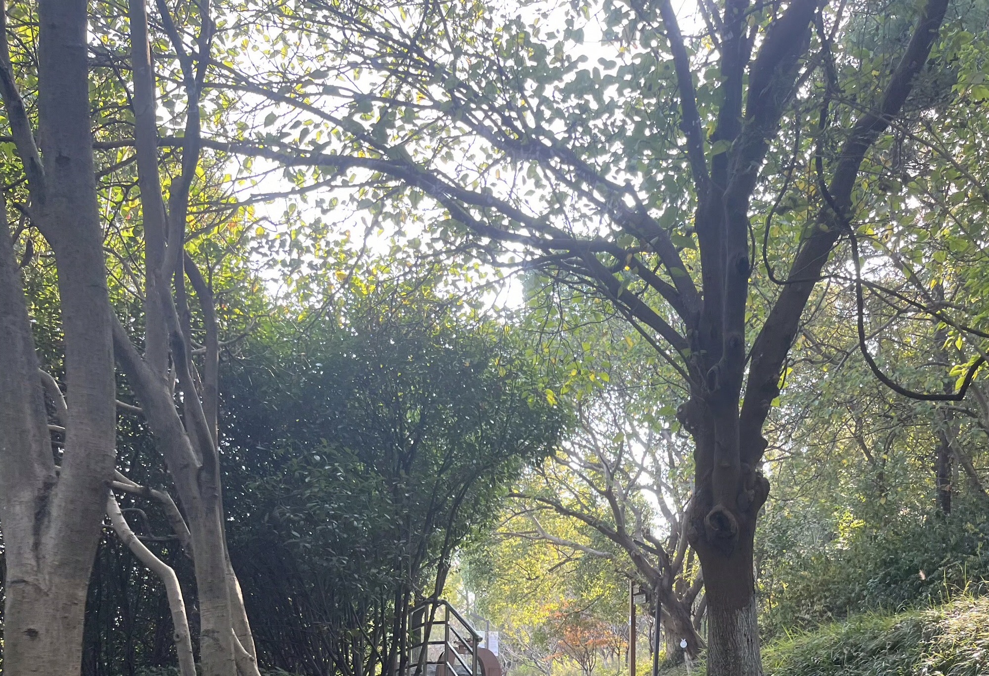 天生桥景区旅行图片 3