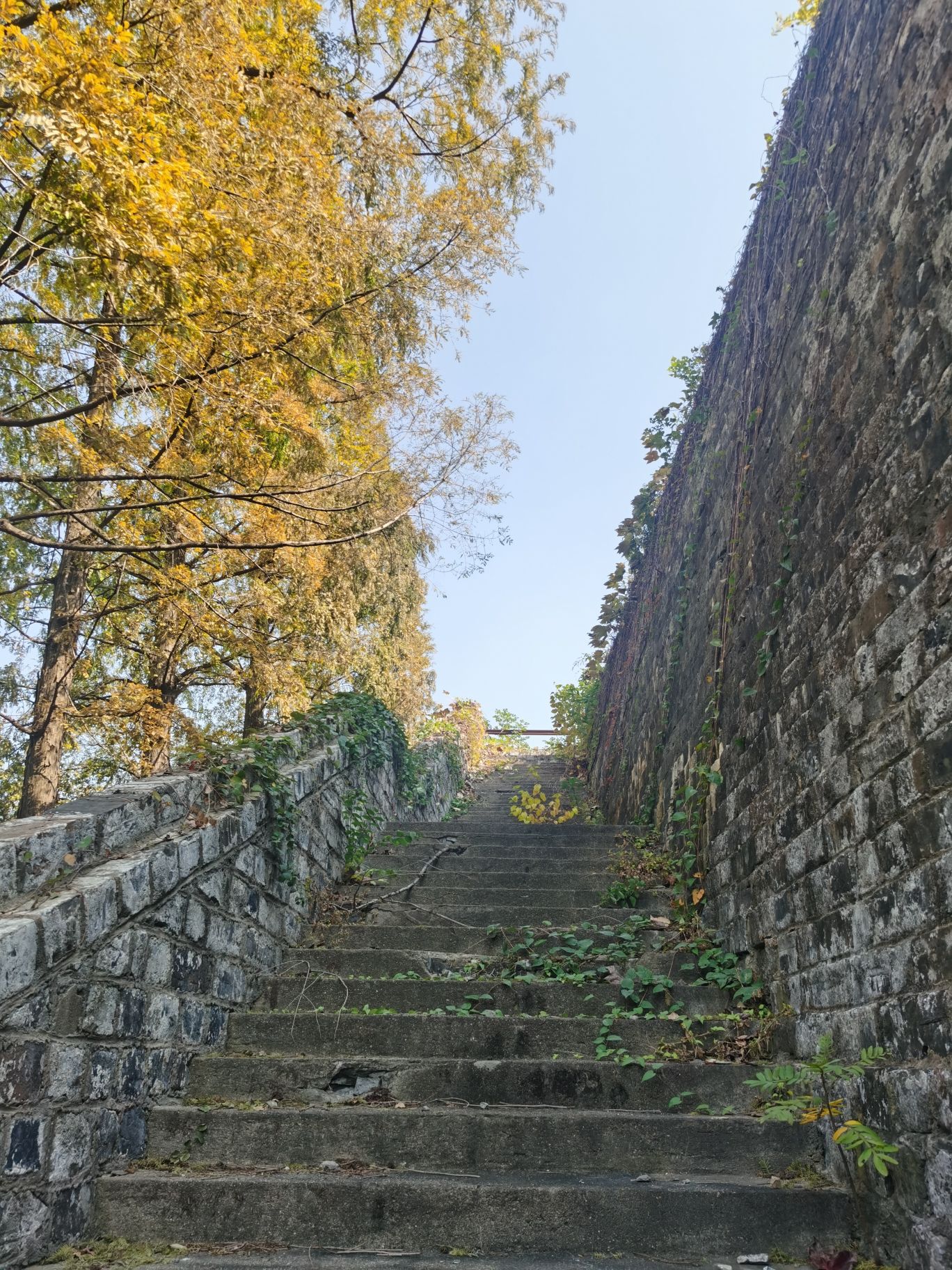 西安门遗址公园旅行图片 3