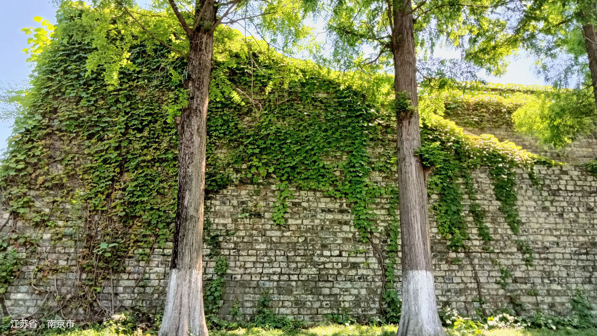 西安门遗址公园旅行图片 1