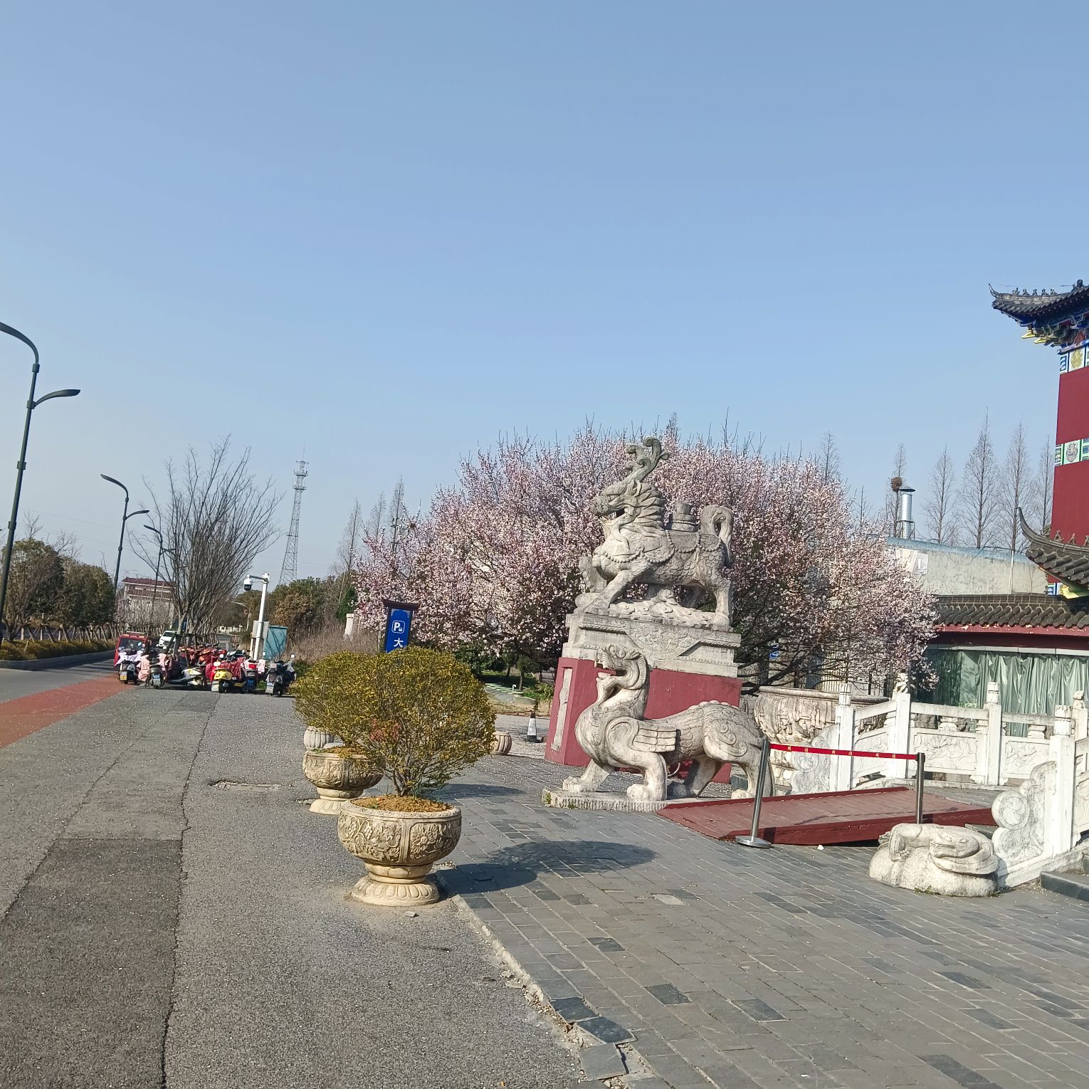 周园旅行图片 2