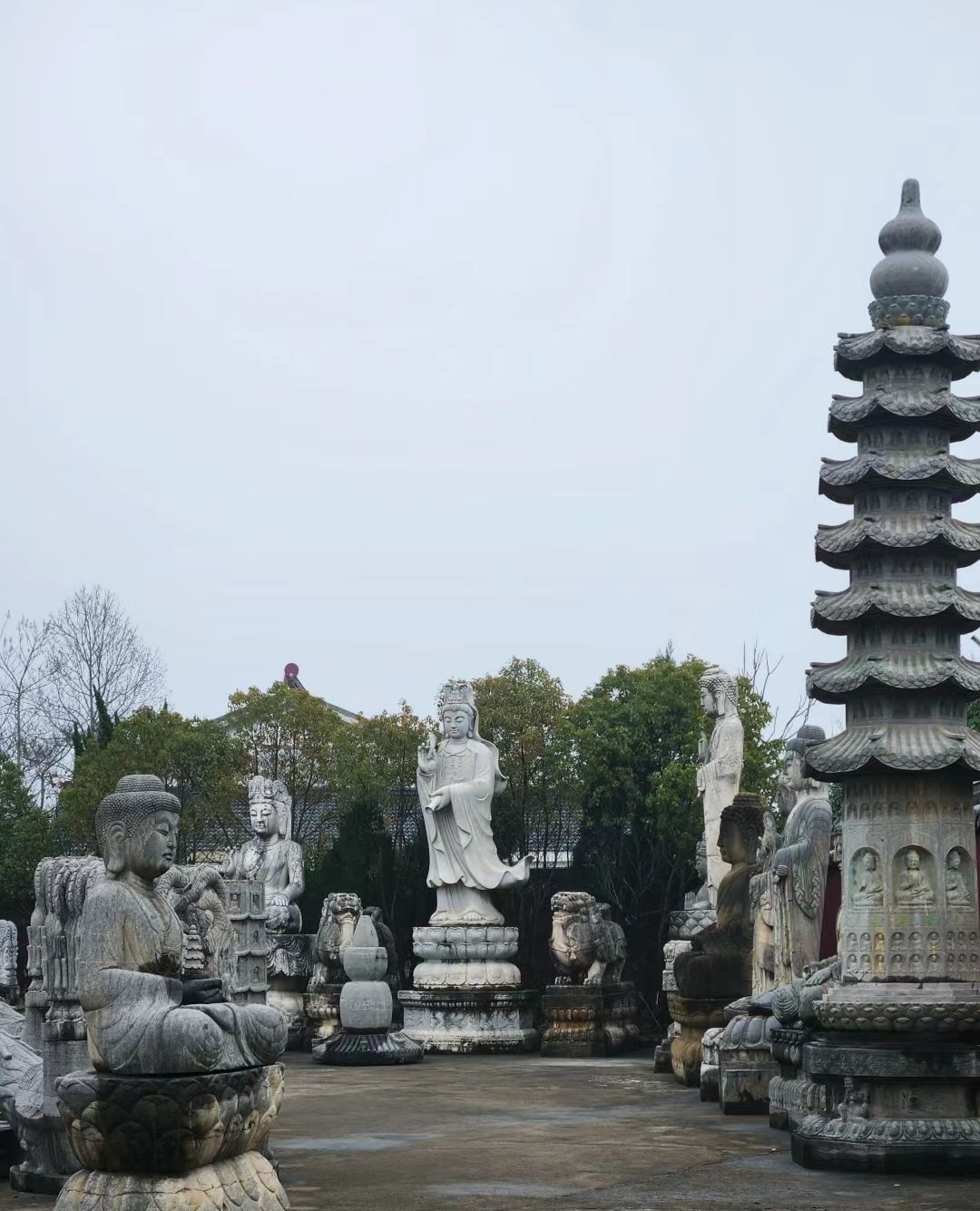 周园旅行图片 3