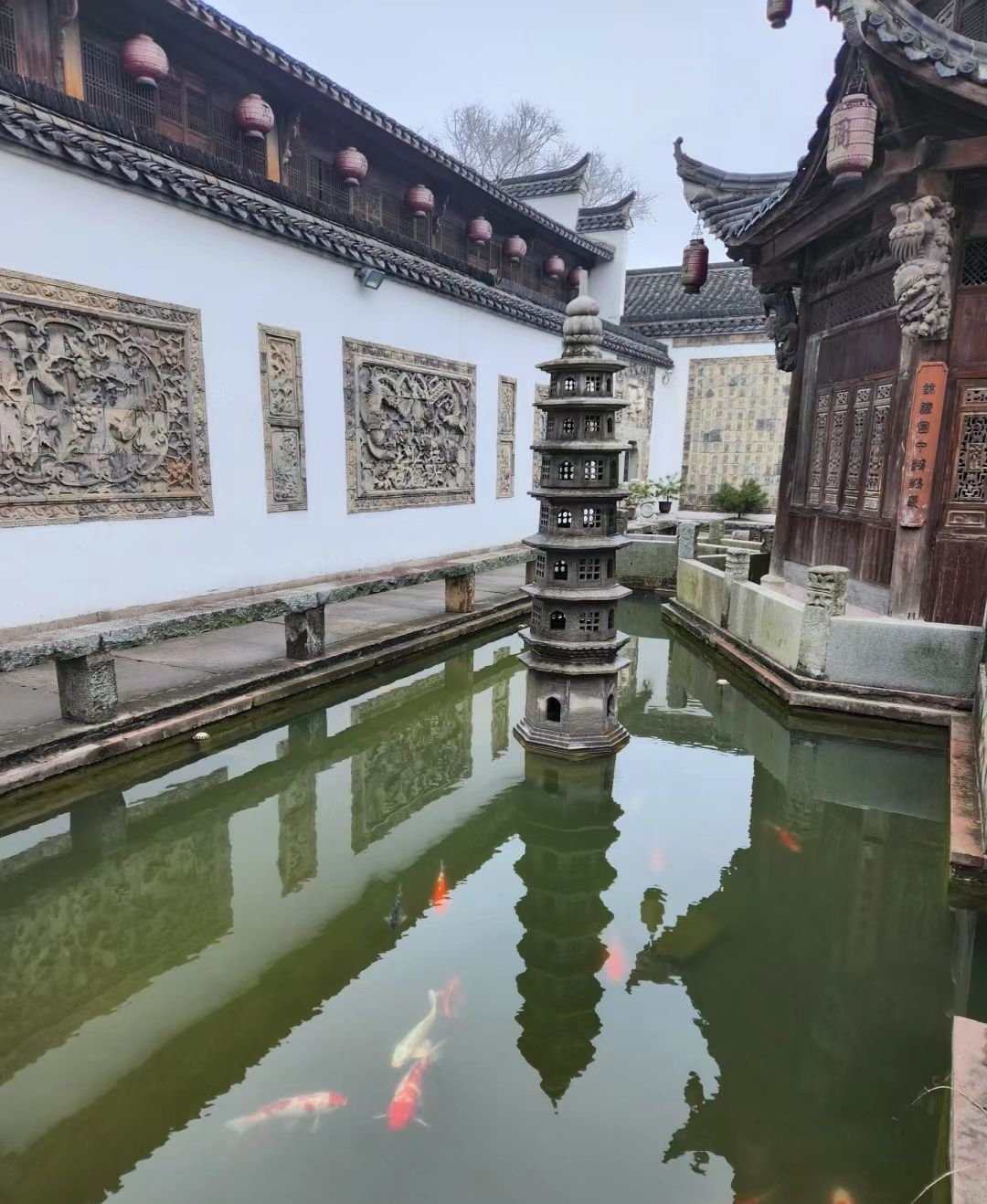 周园旅行图片 1