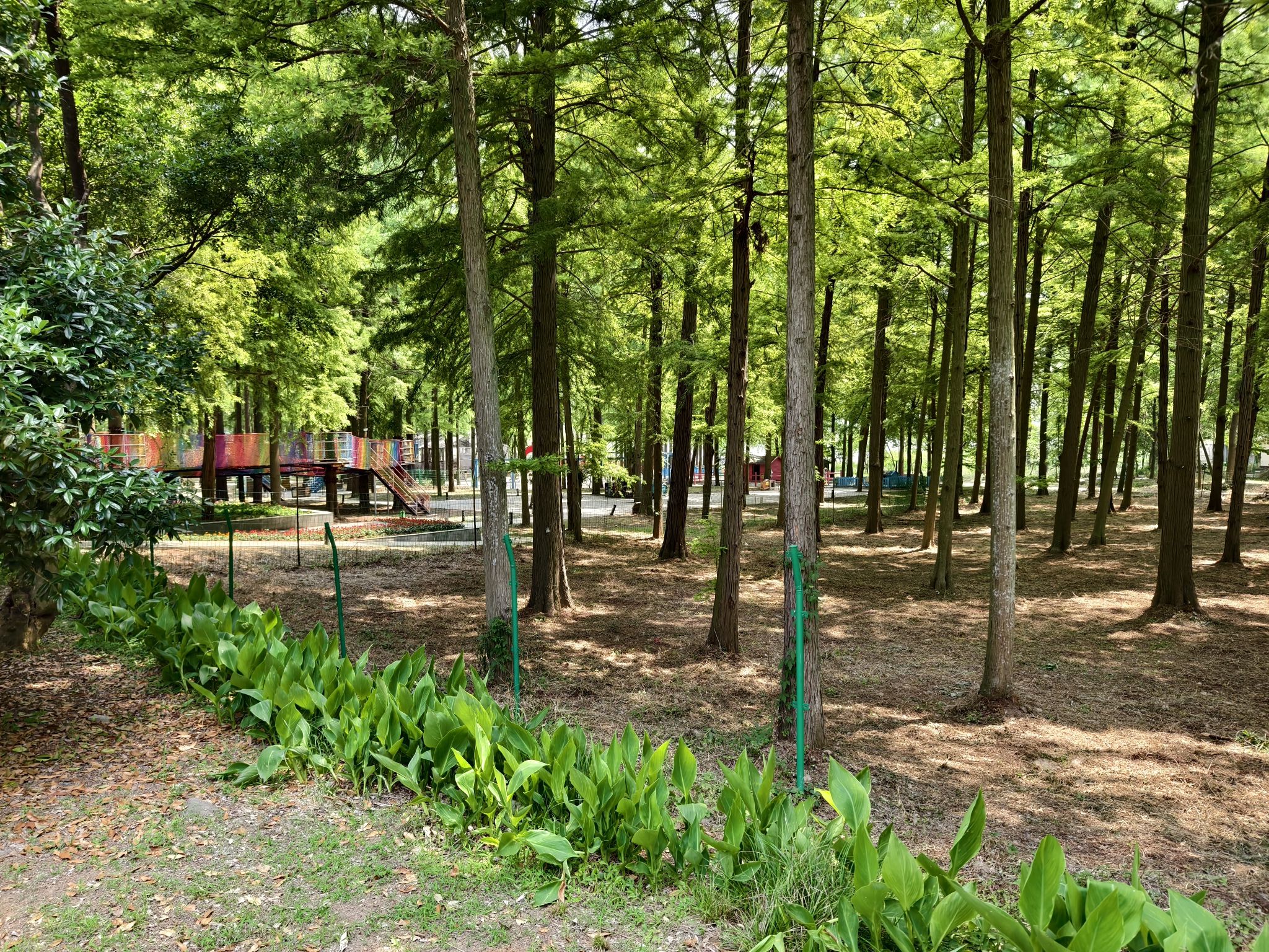南京平山森林公园旅行图片 3