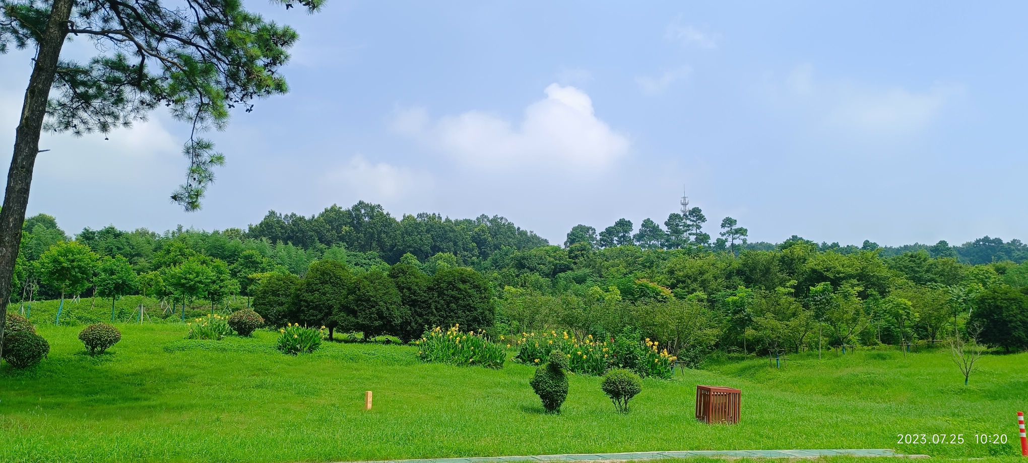 南京平山森林公园旅行图片 2