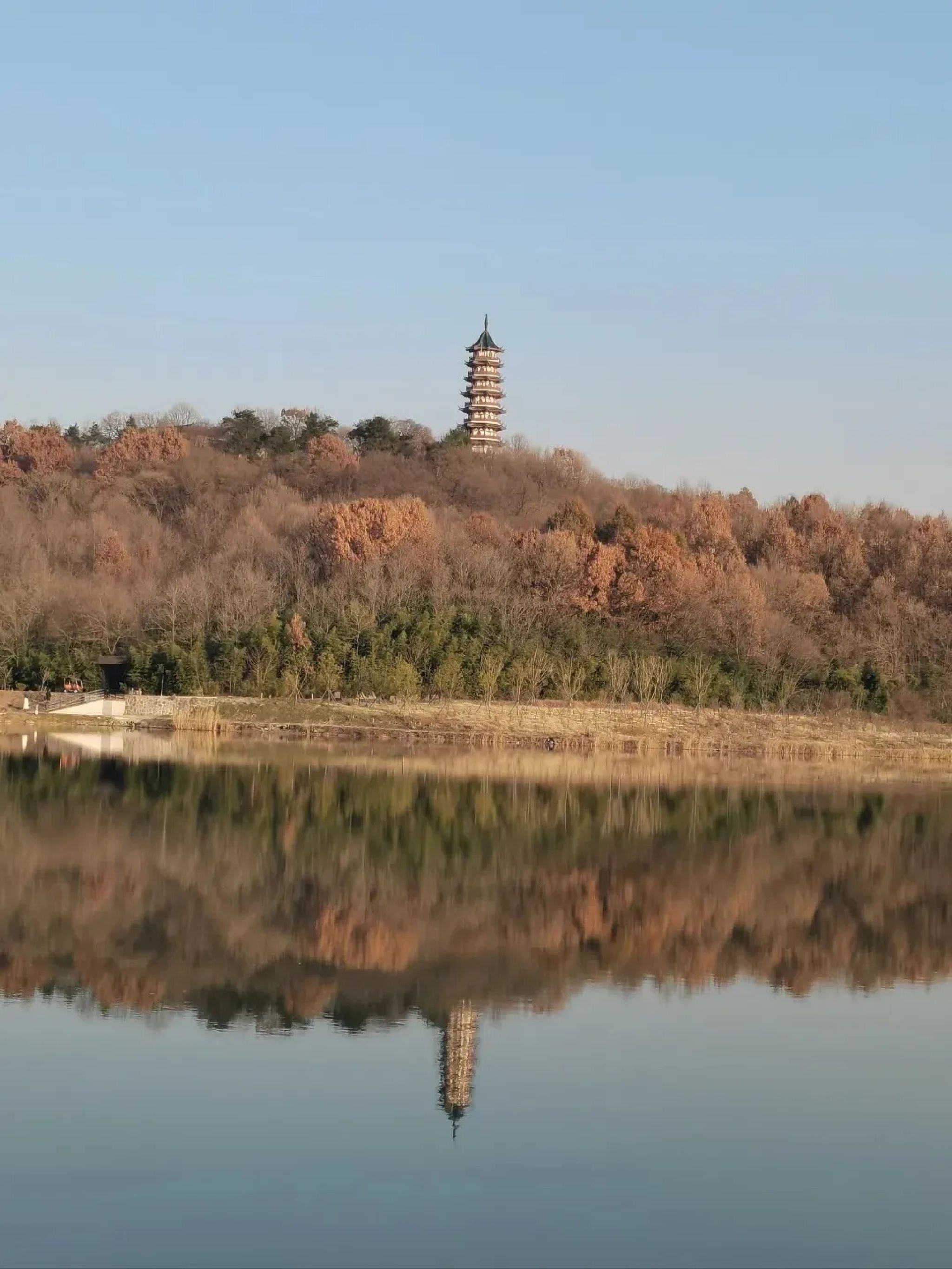 南京平山森林公园旅行图片 1