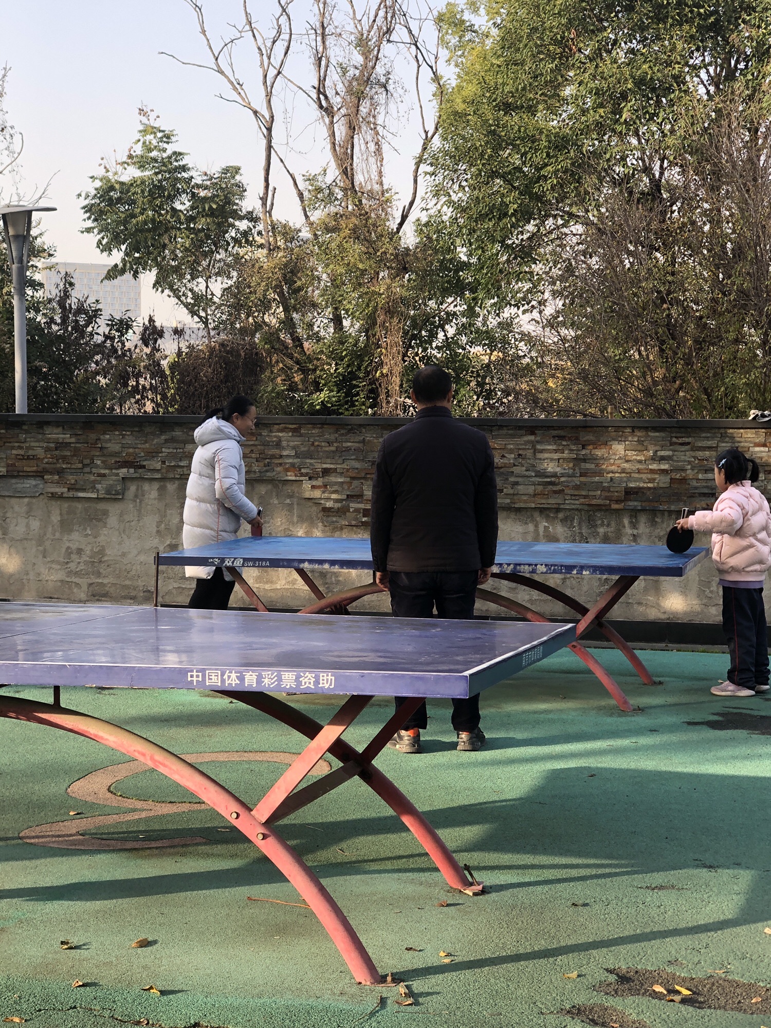 金地体育公园旅行图片 3