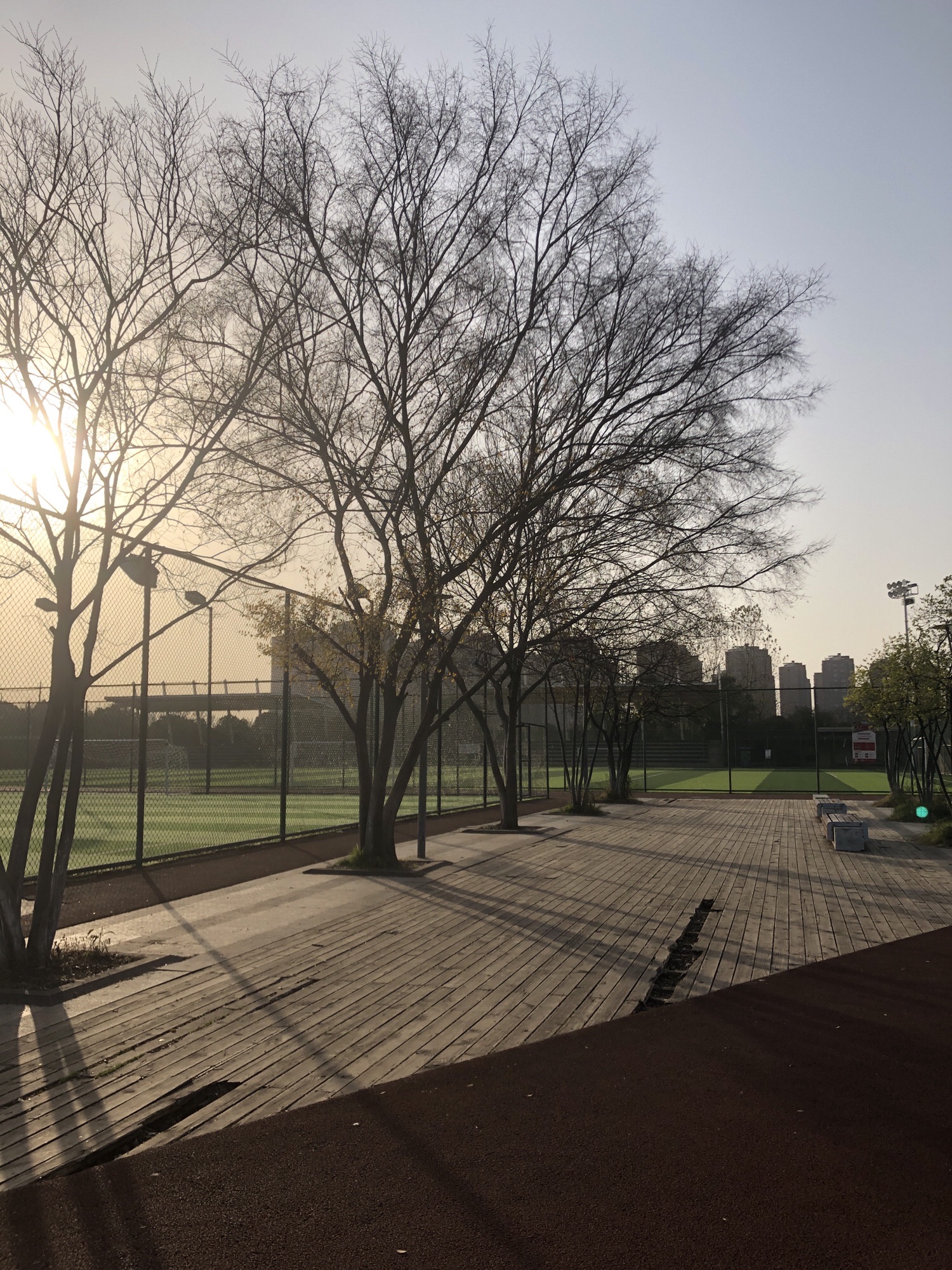 金地体育公园旅行图片 1