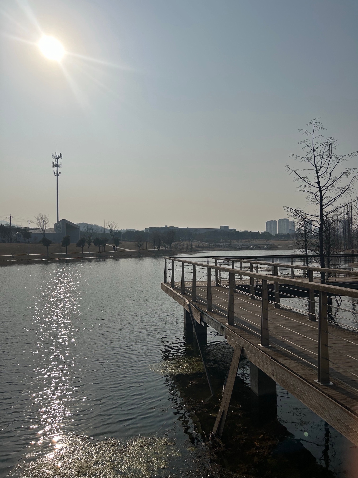 南京聚宝山公园旅行图片 1