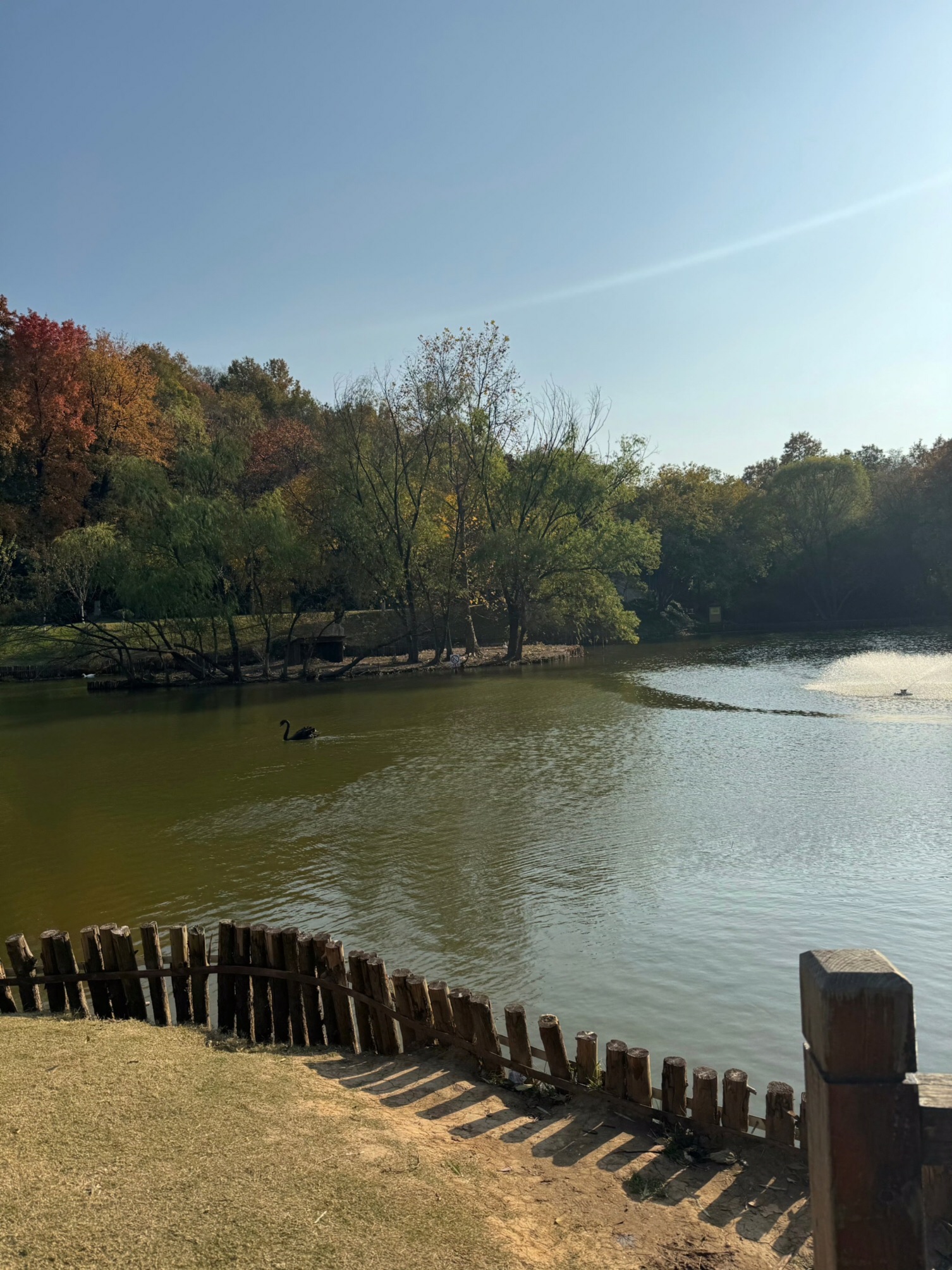 南京聚宝山公园旅行图片 2