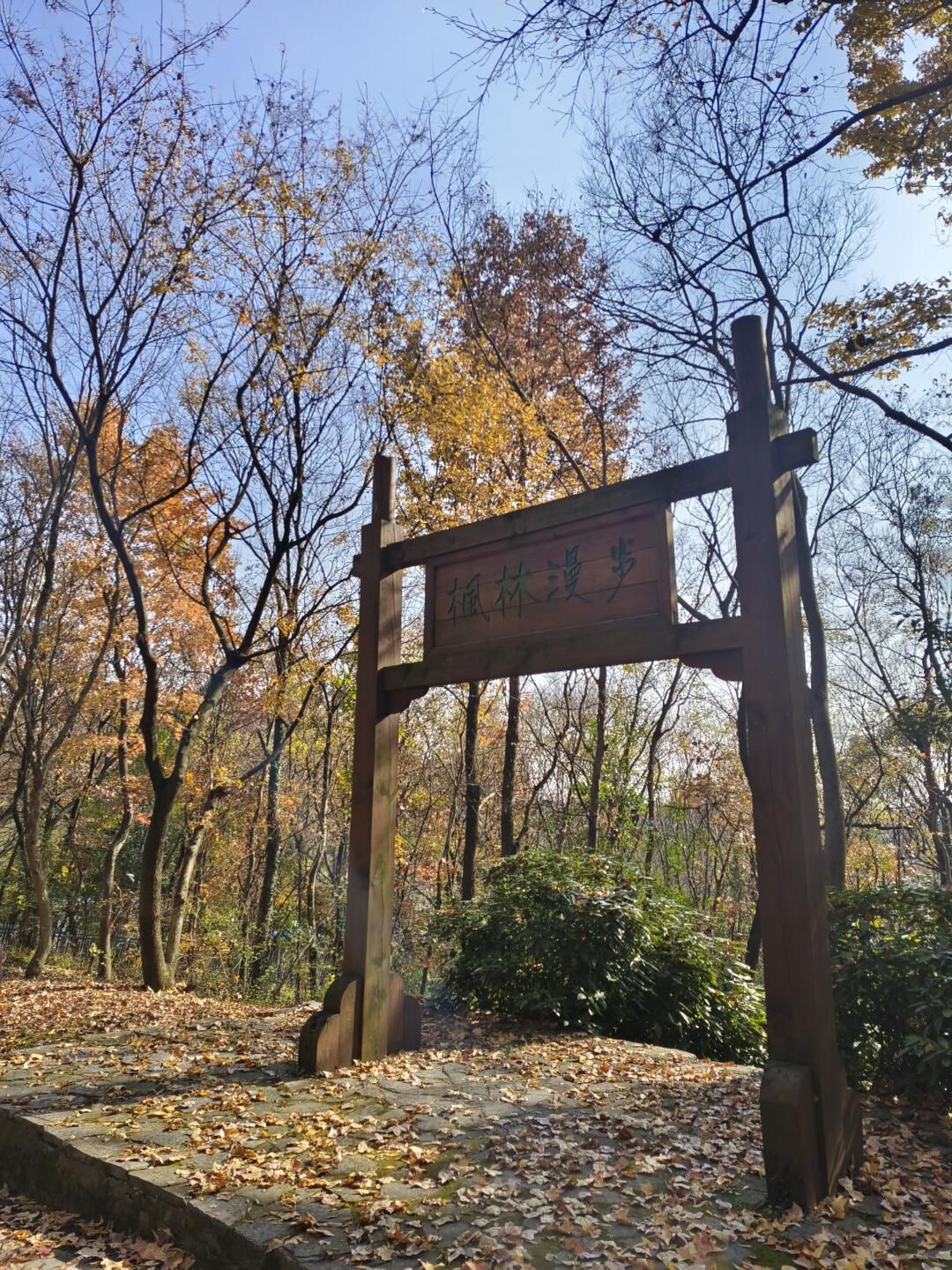 南京聚宝山公园旅行图片 1
