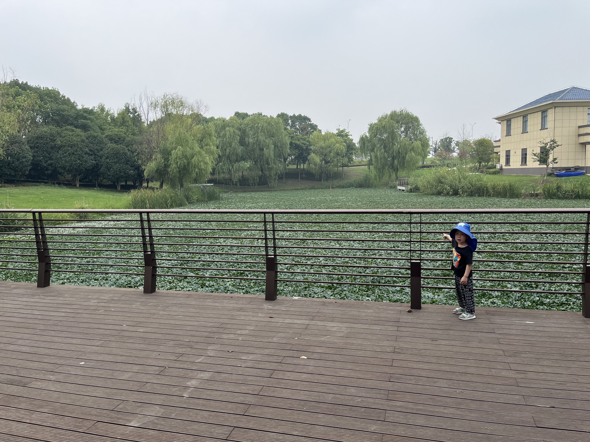 固城湖国家城市湿地公园旅行图片 2