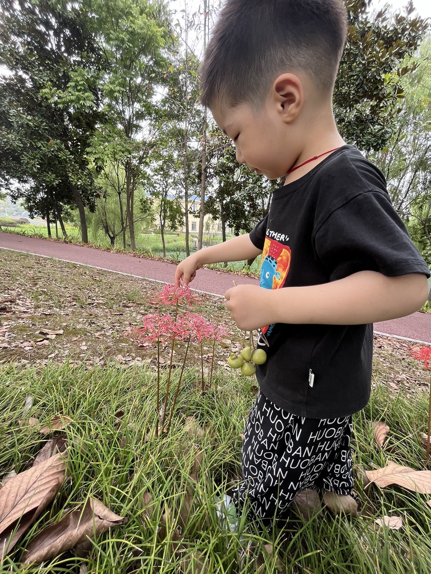 固城湖国家城市湿地公园旅行图片 3