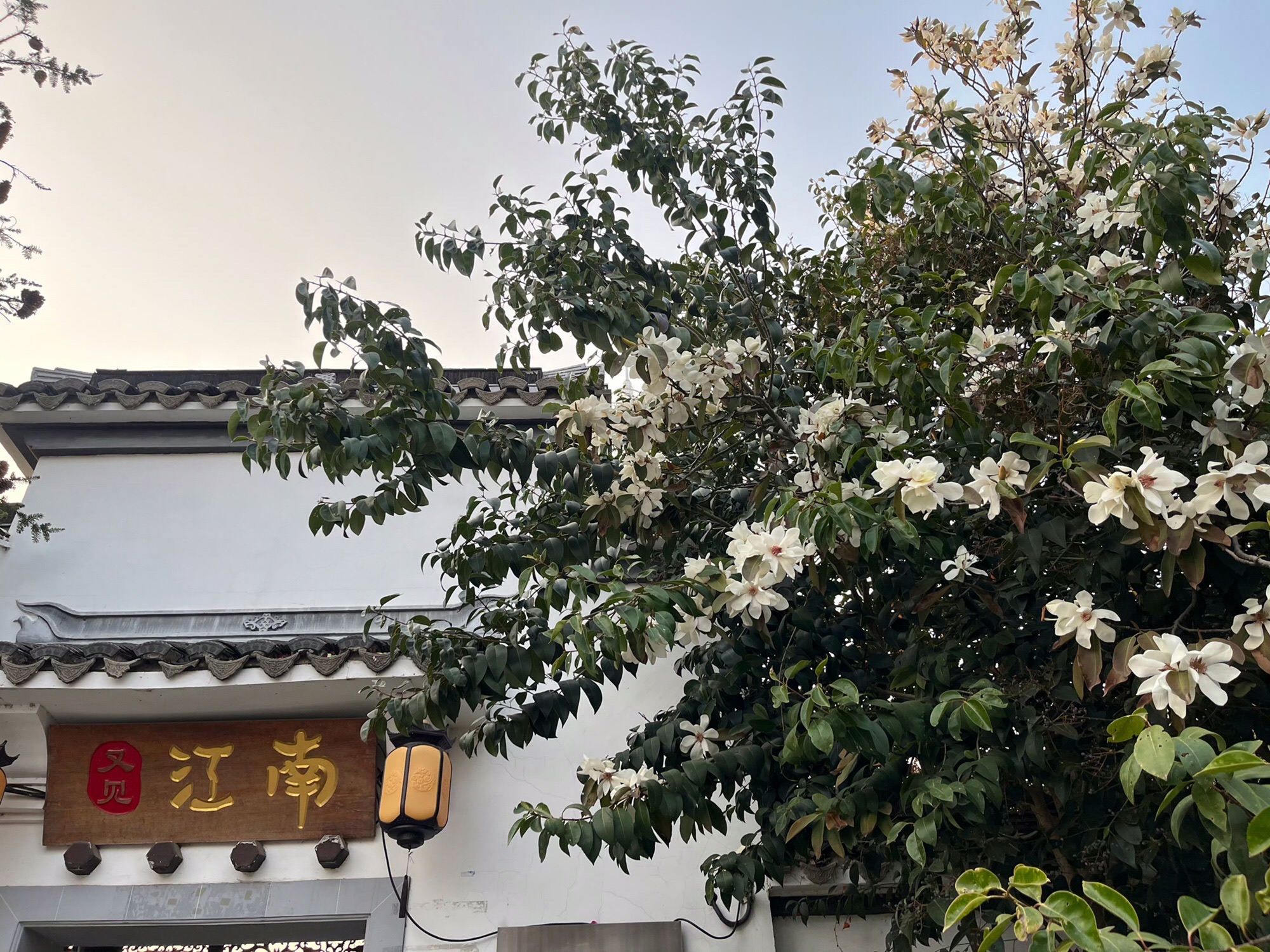南京幕燕滨江风貌区旅行图片 1