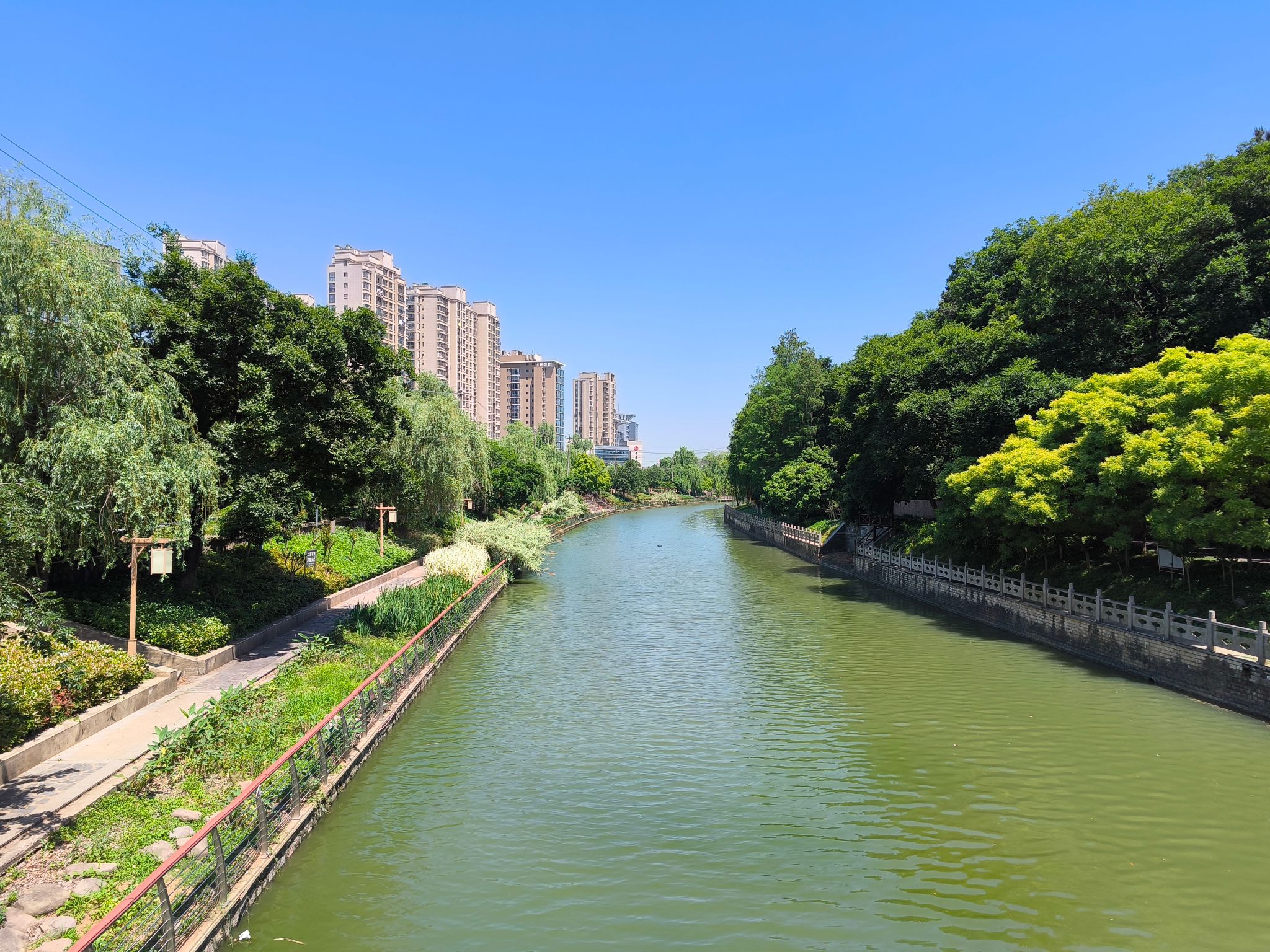 竹山文化休闲公园旅行图片 1