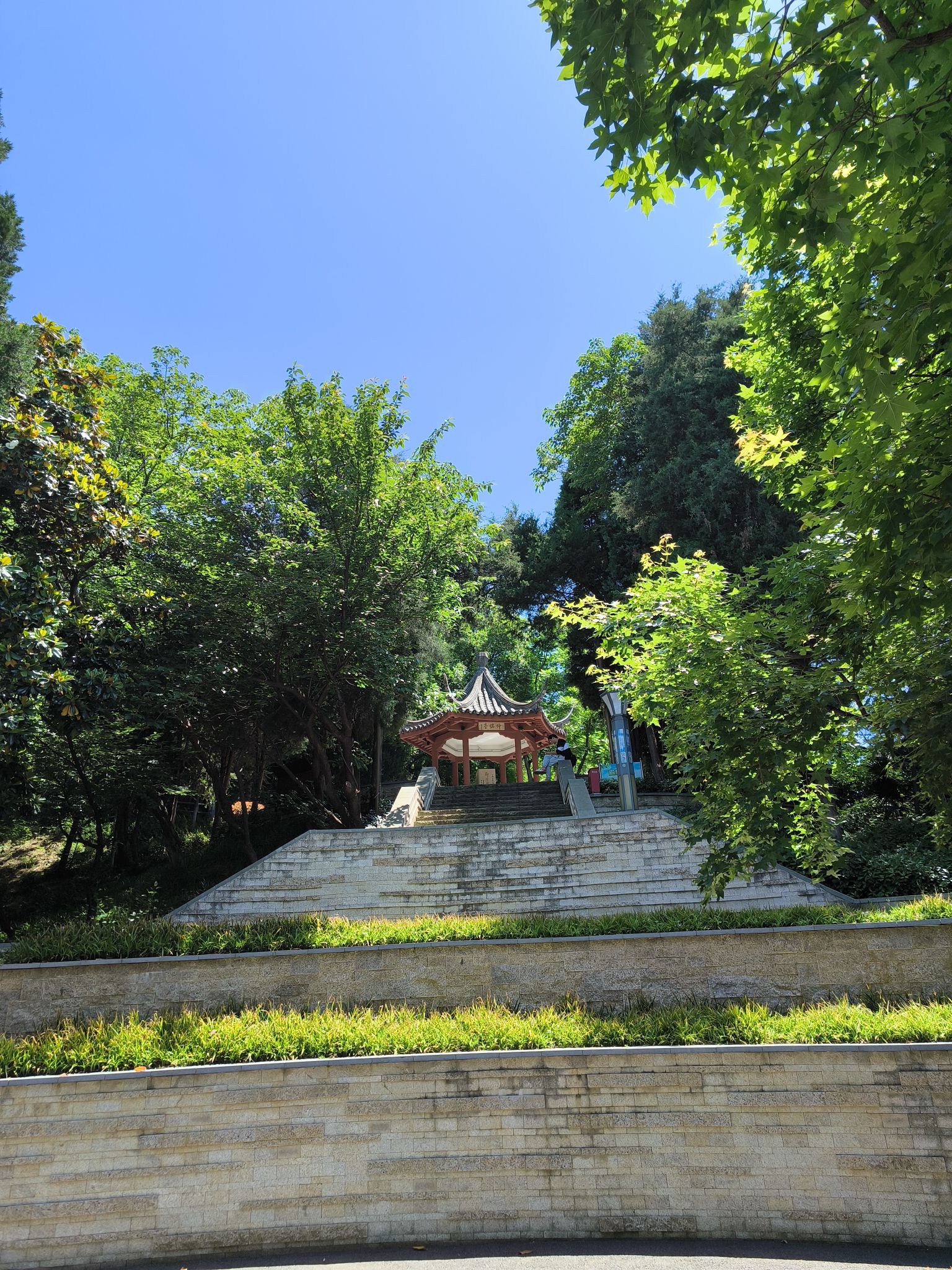 竹山文化休闲公园旅行图片 3