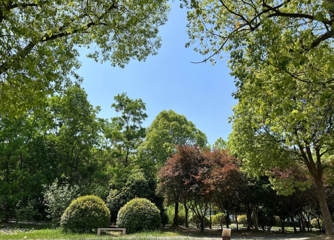 太平山公园旅行图片 2