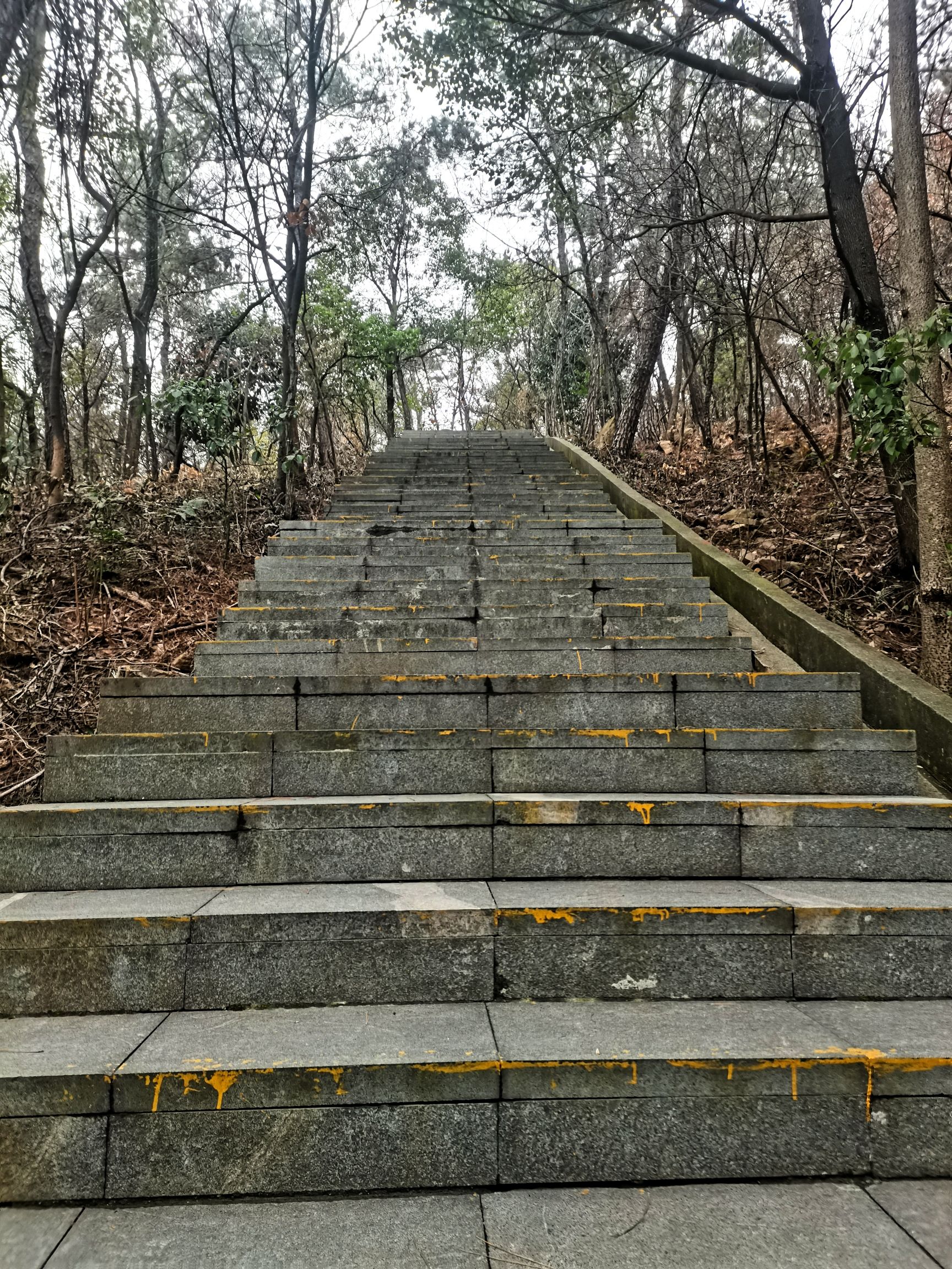 太平山公园旅行图片 3