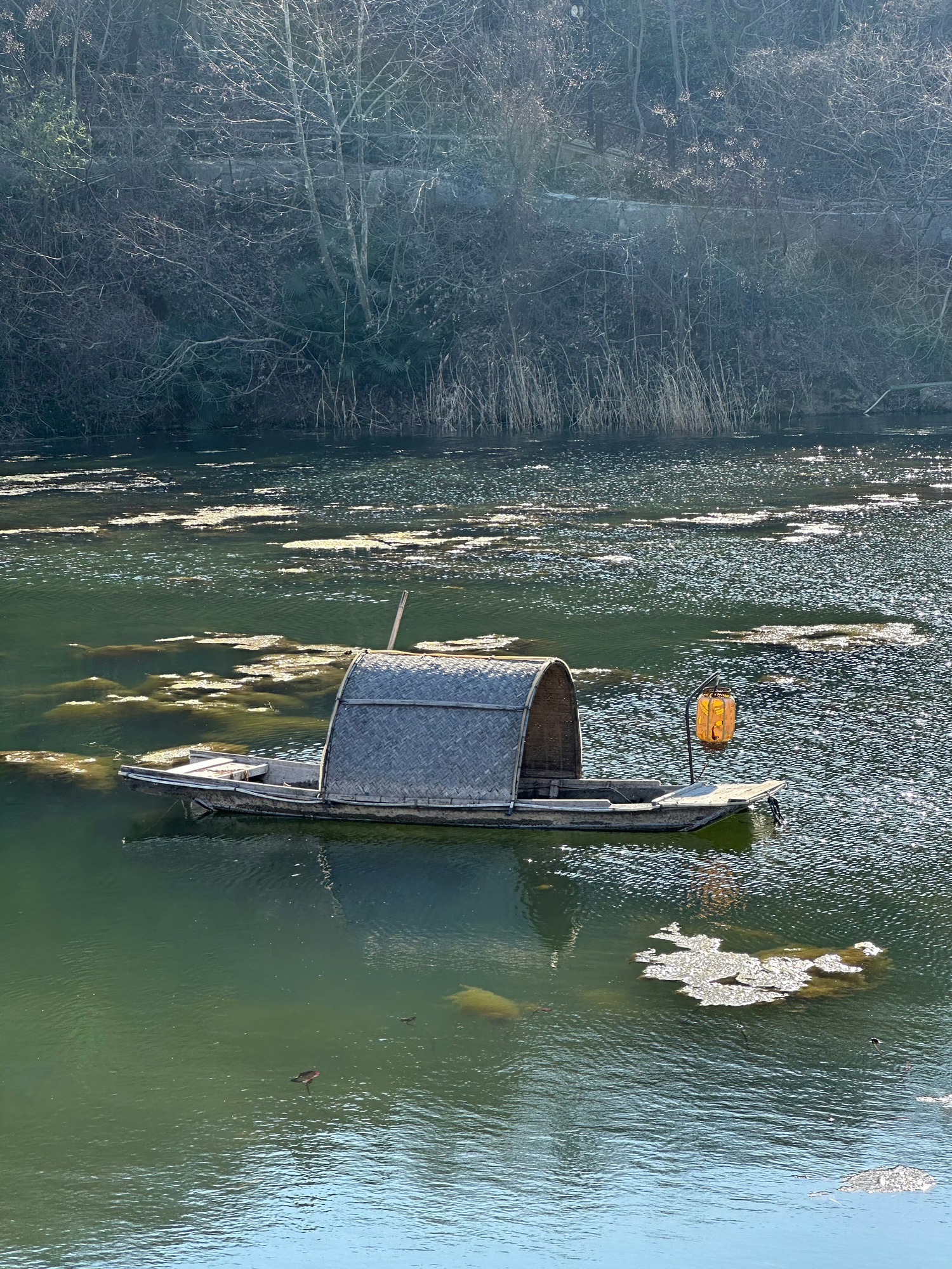 佛手湖郊野公园旅行图片 2