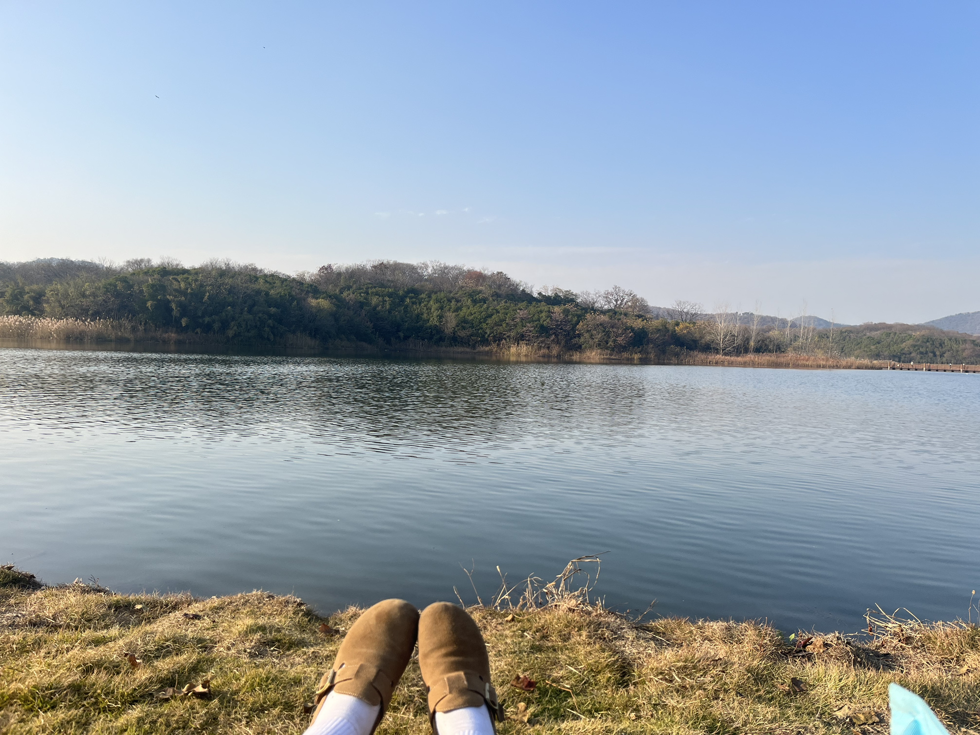 佛手湖郊野公园旅行图片 3