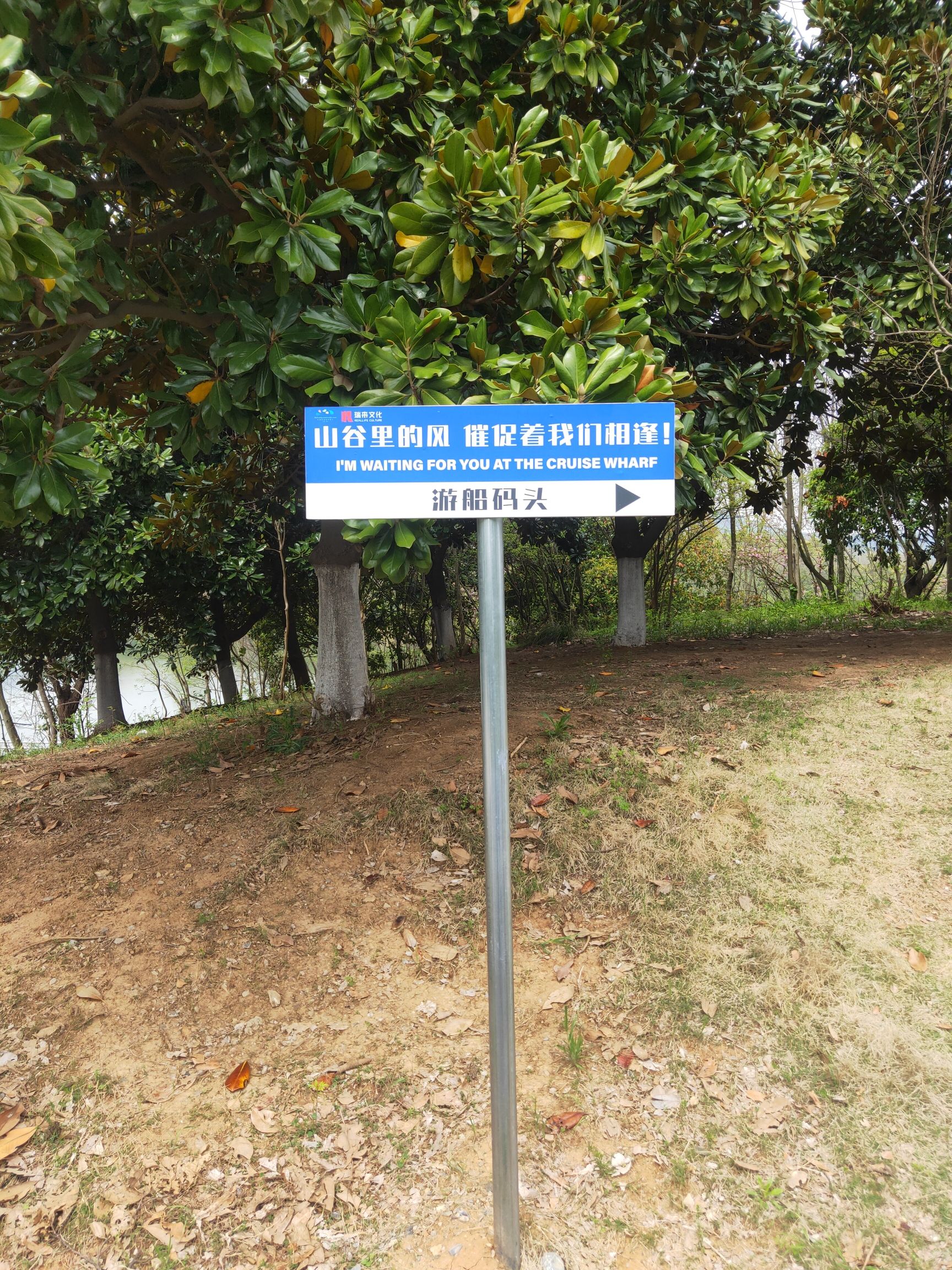 佛手湖郊野公园旅行图片 1