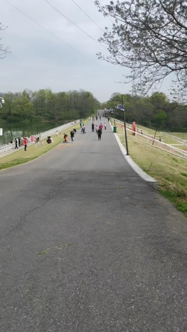 佛手湖郊野公园旅行图片 3