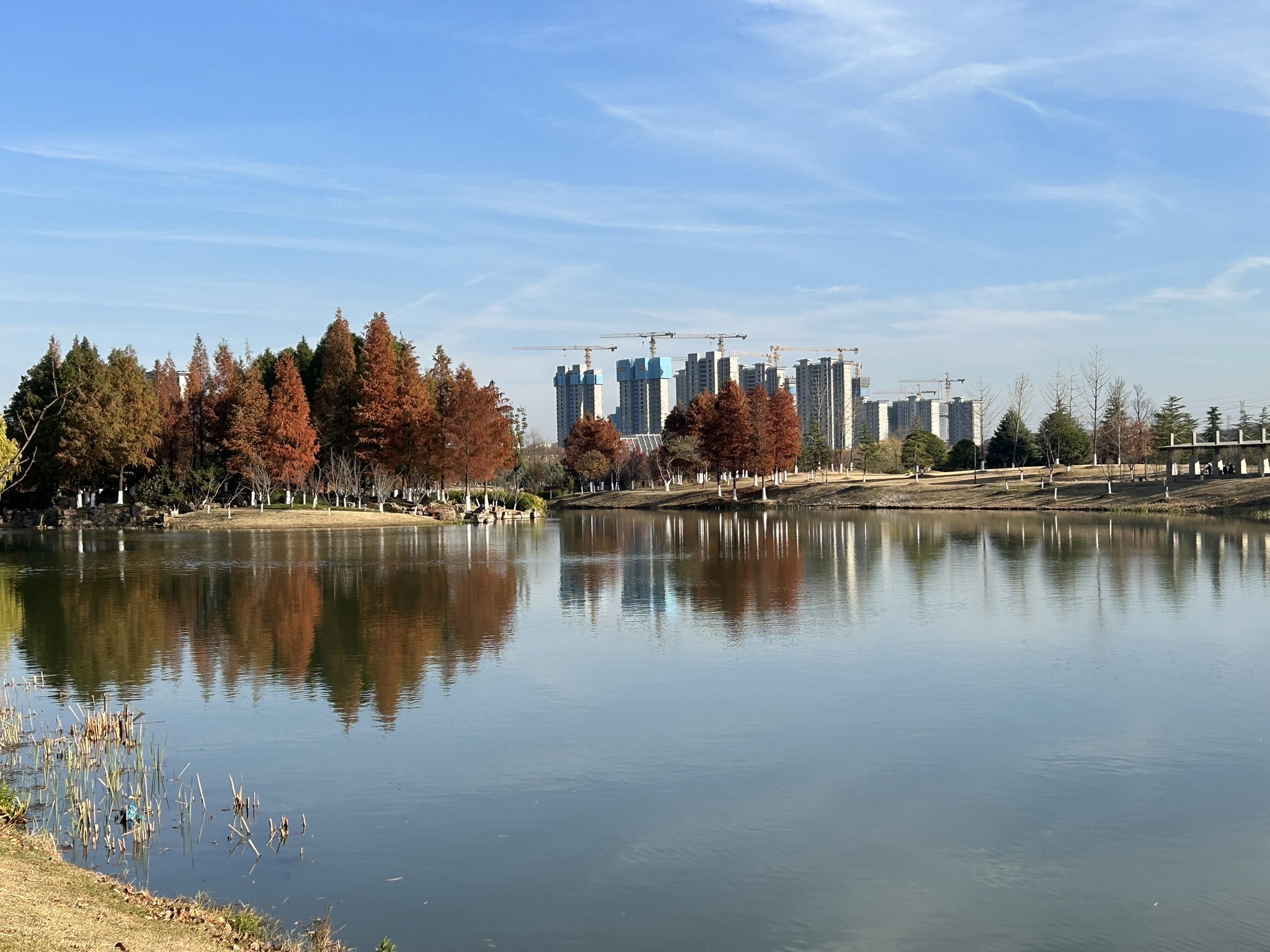 南京市仙林湖公园旅行图片 3