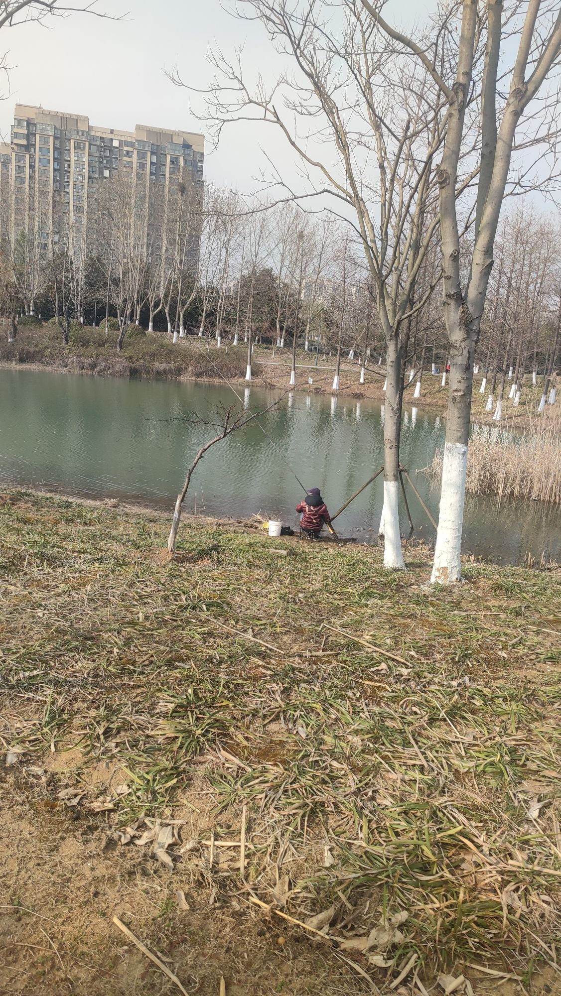 南京市仙林湖公园旅行图片 3