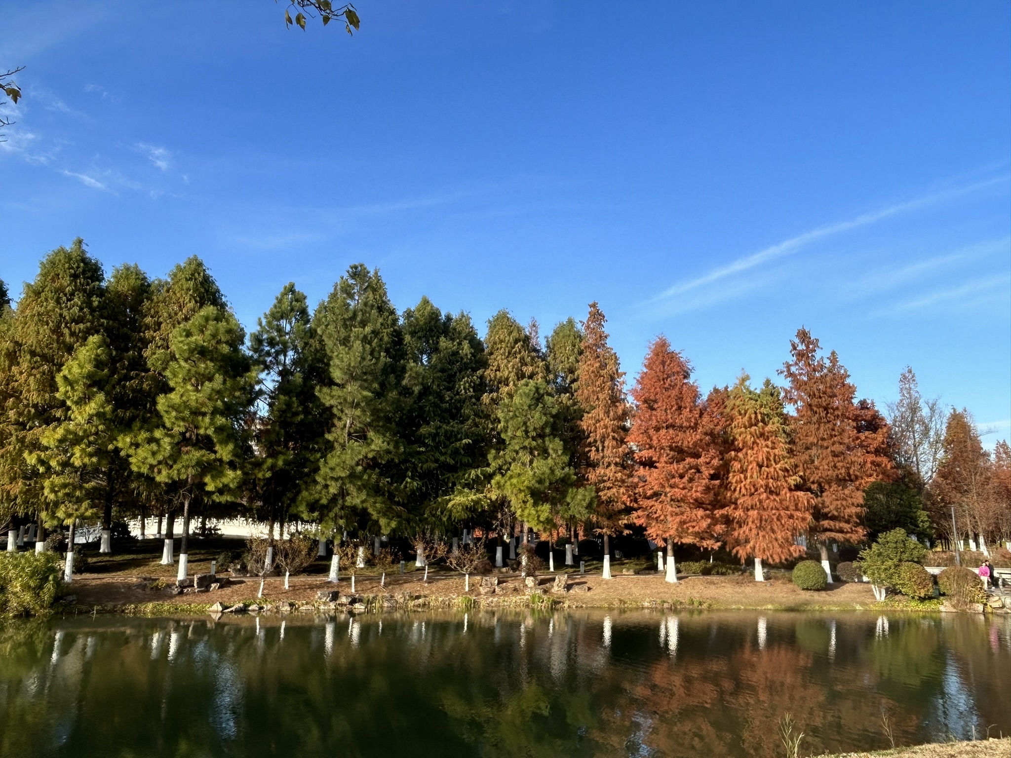 南京市仙林湖公园旅行图片 1