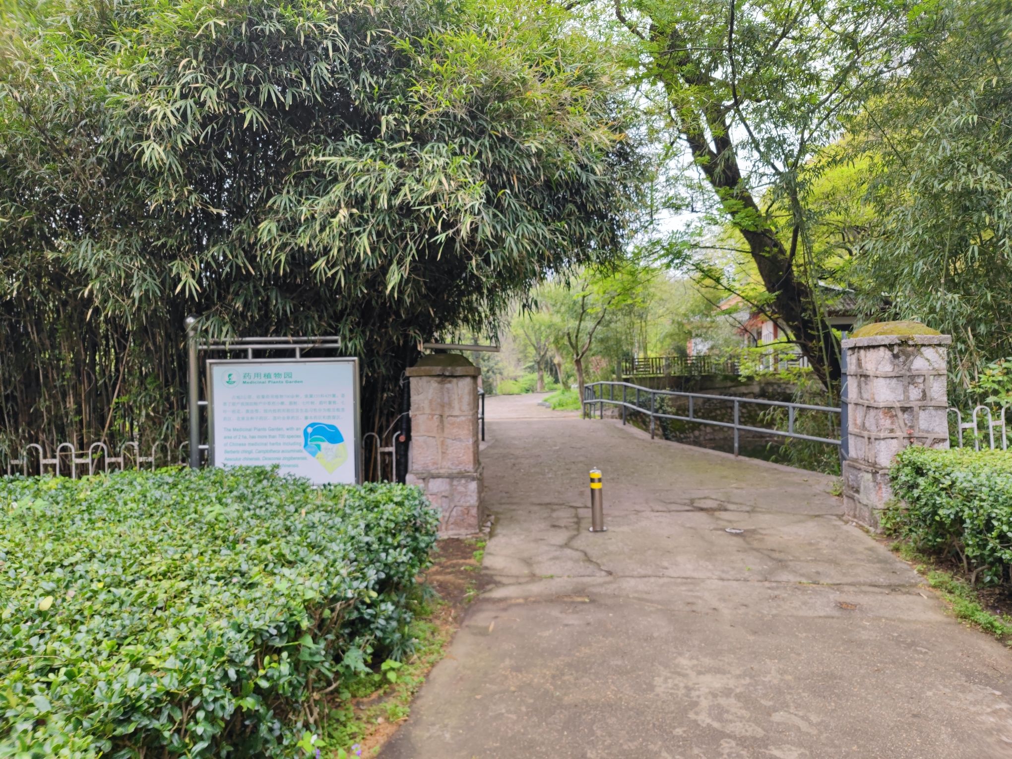钟山风景区-药用植物园